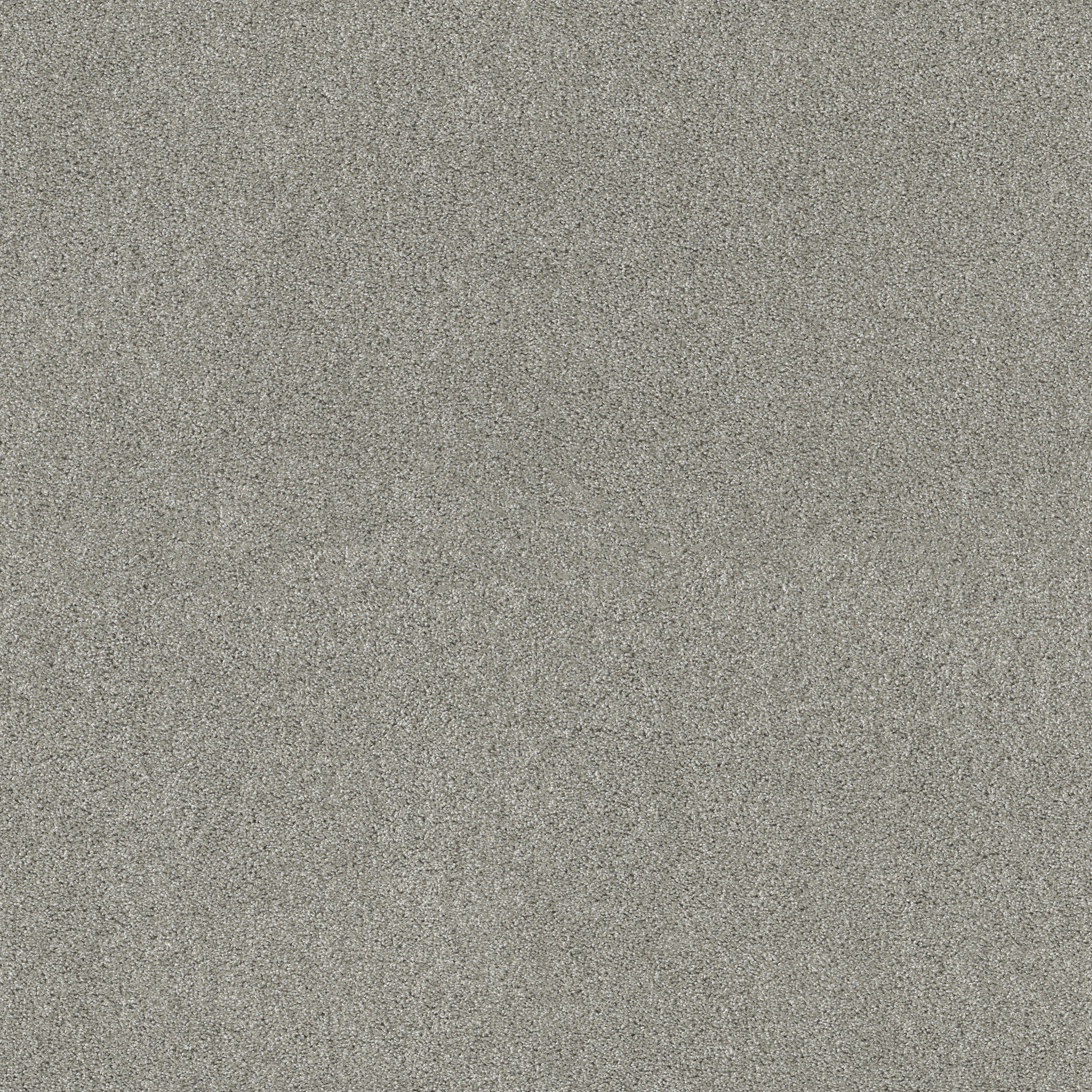 Charter Oaks-Celtic-ZZB43_00523