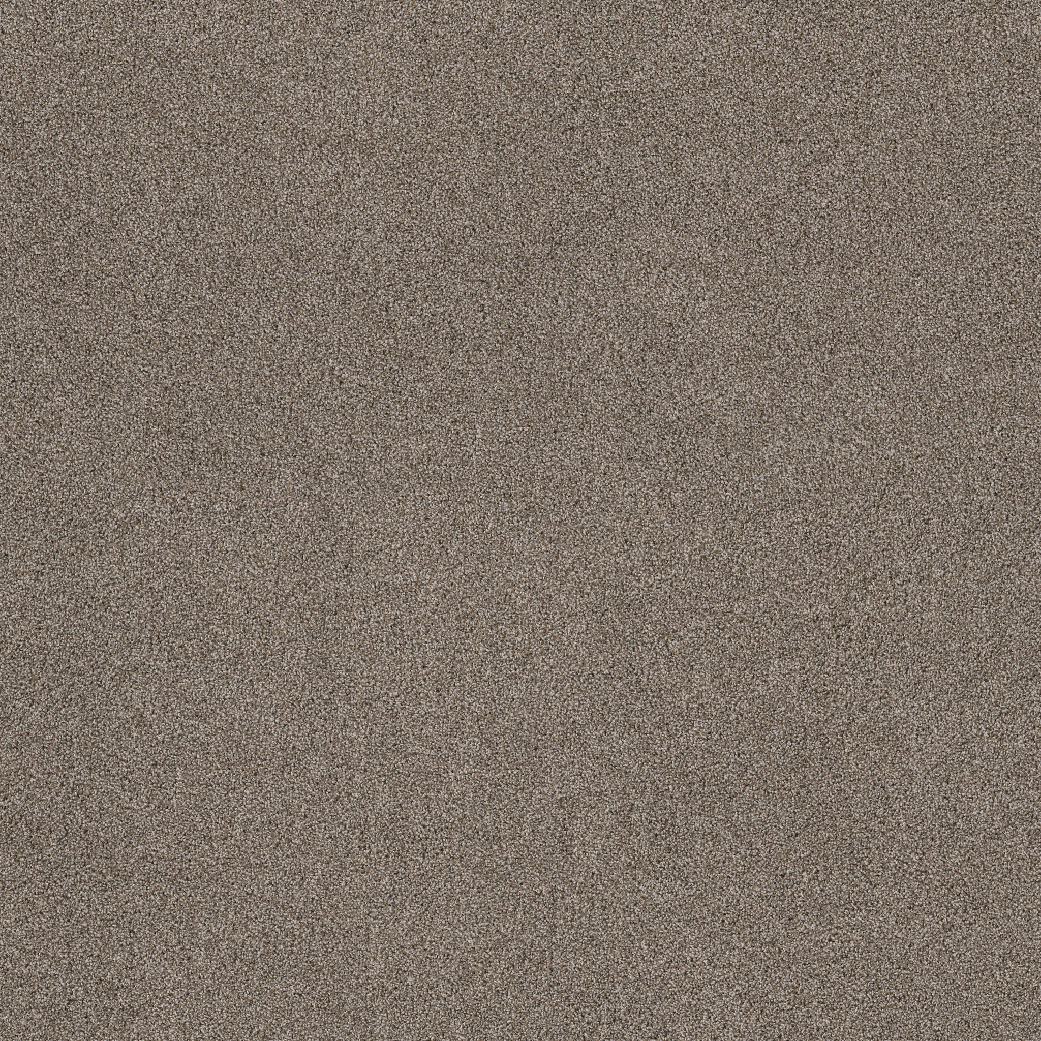 Charter Oaks-Elusive-ZZB43_00537