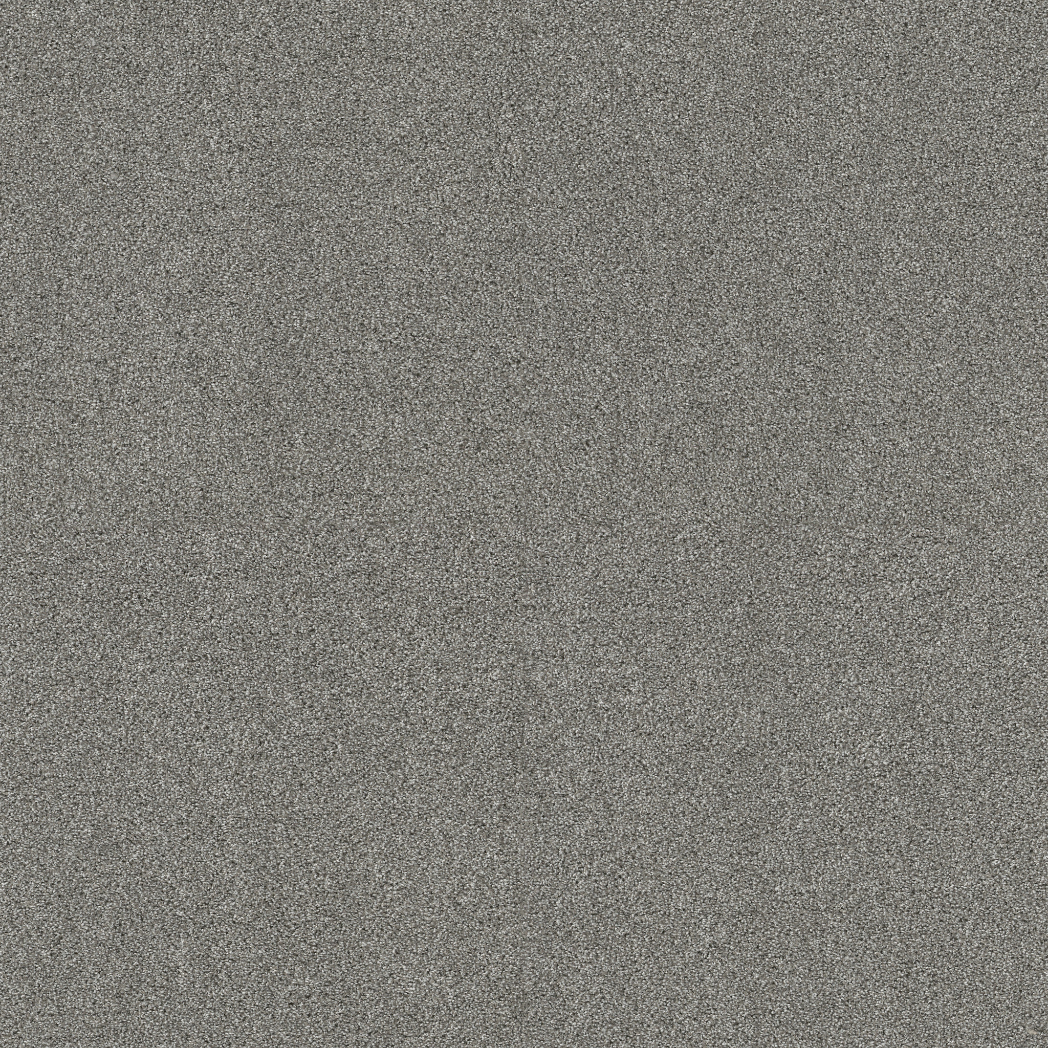 Charter Oaks-Classic Stone-ZZB43_00545