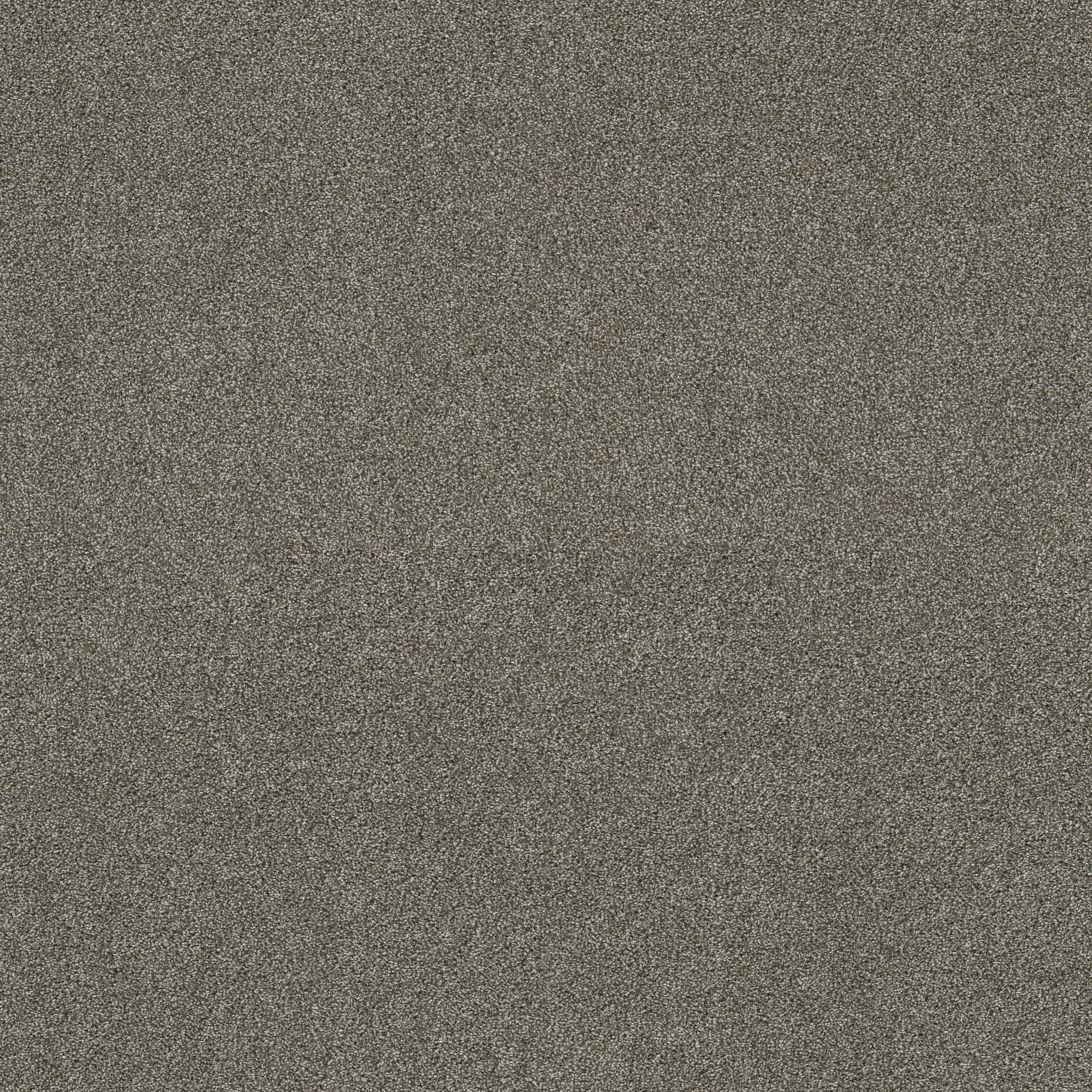 Charter Oaks-City Gray-ZZB43_00558