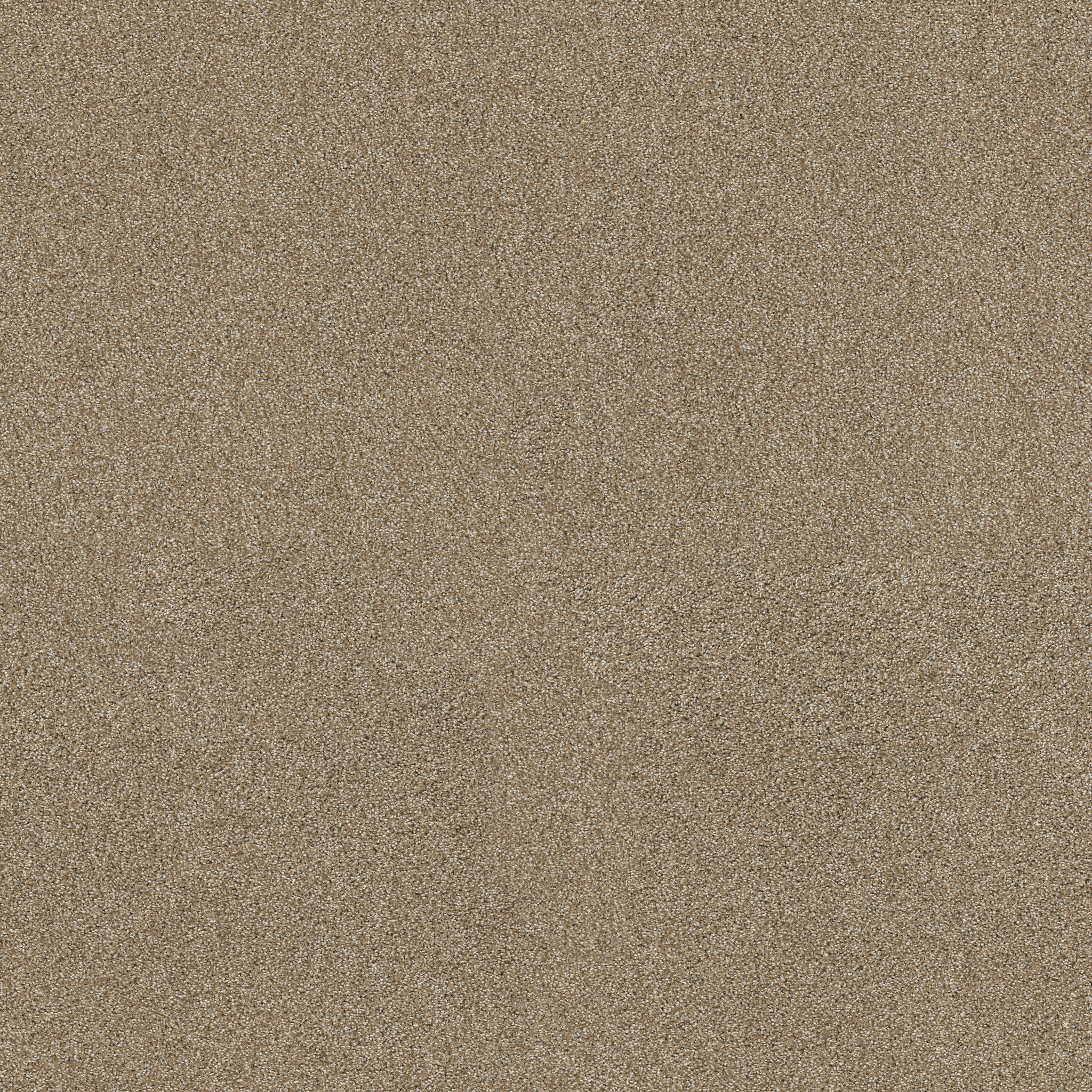 Charter Oaks-Serengeti-ZZB43_00733