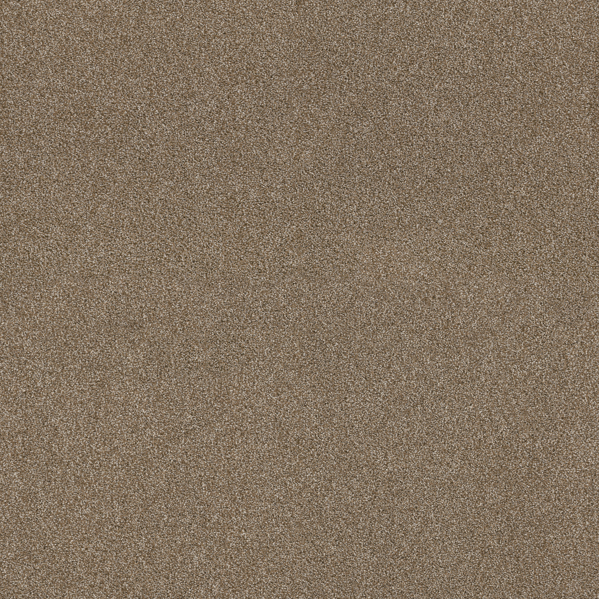 Charter Oaks - Lodge - ZZB43_00736