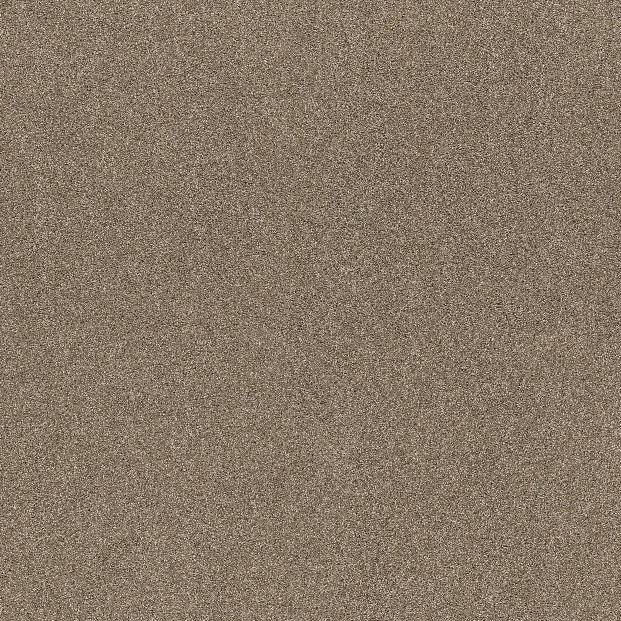 Charter Oaks-Canoe-ZZB43_00773