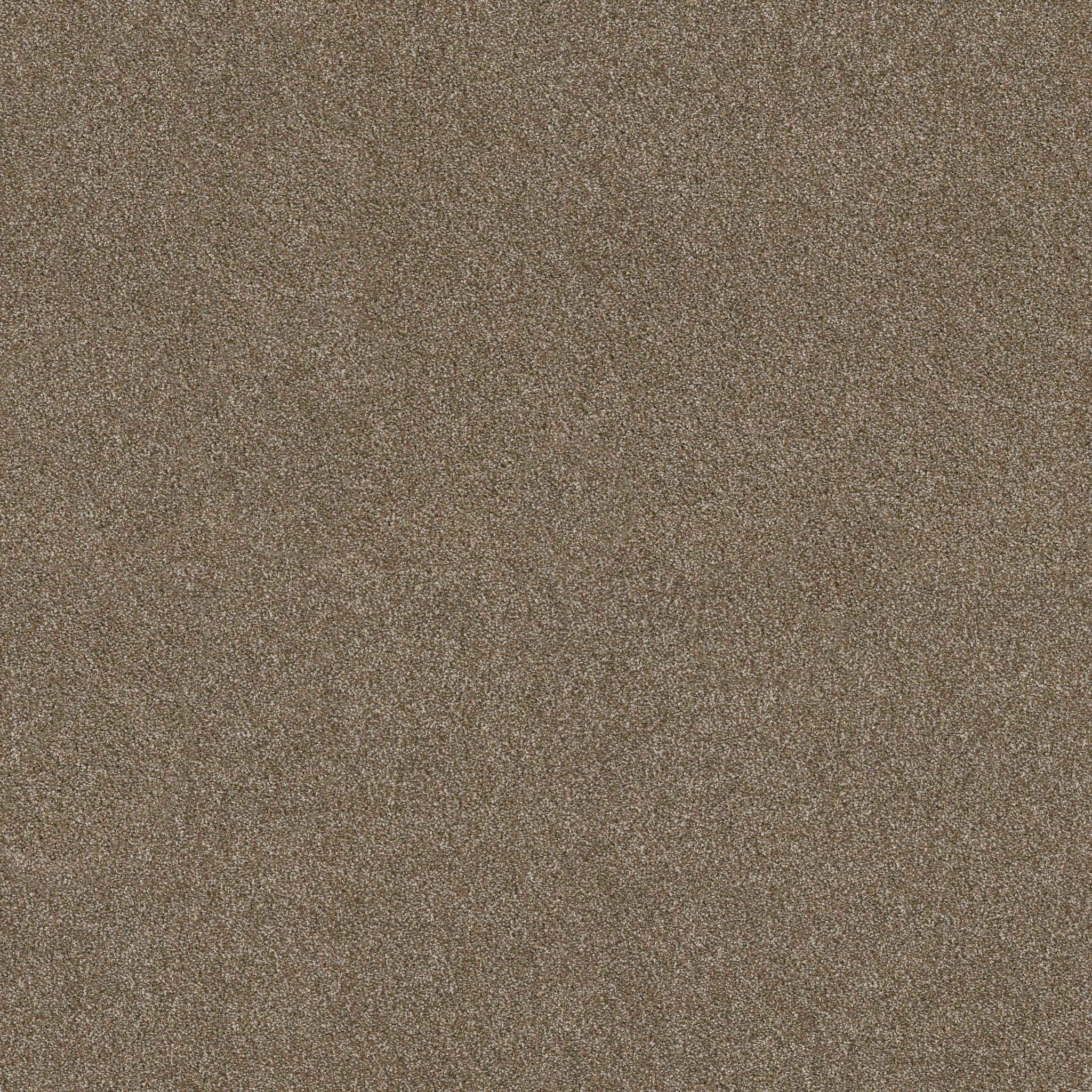 Charter Oaks - Canyon Trail - ZZB43_00775