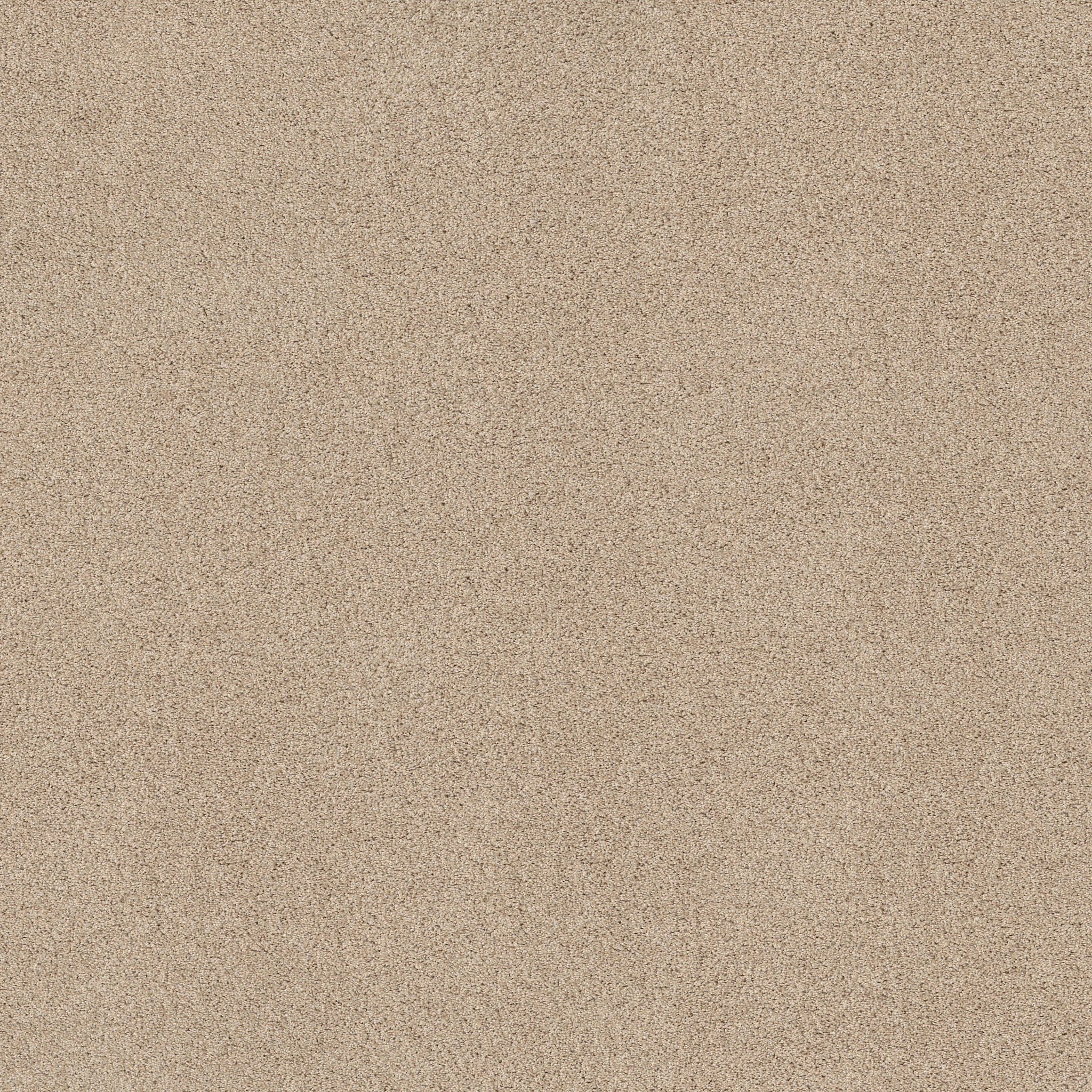 Bay Bridge ZZB44 00113 | Shaw Builder Flooring