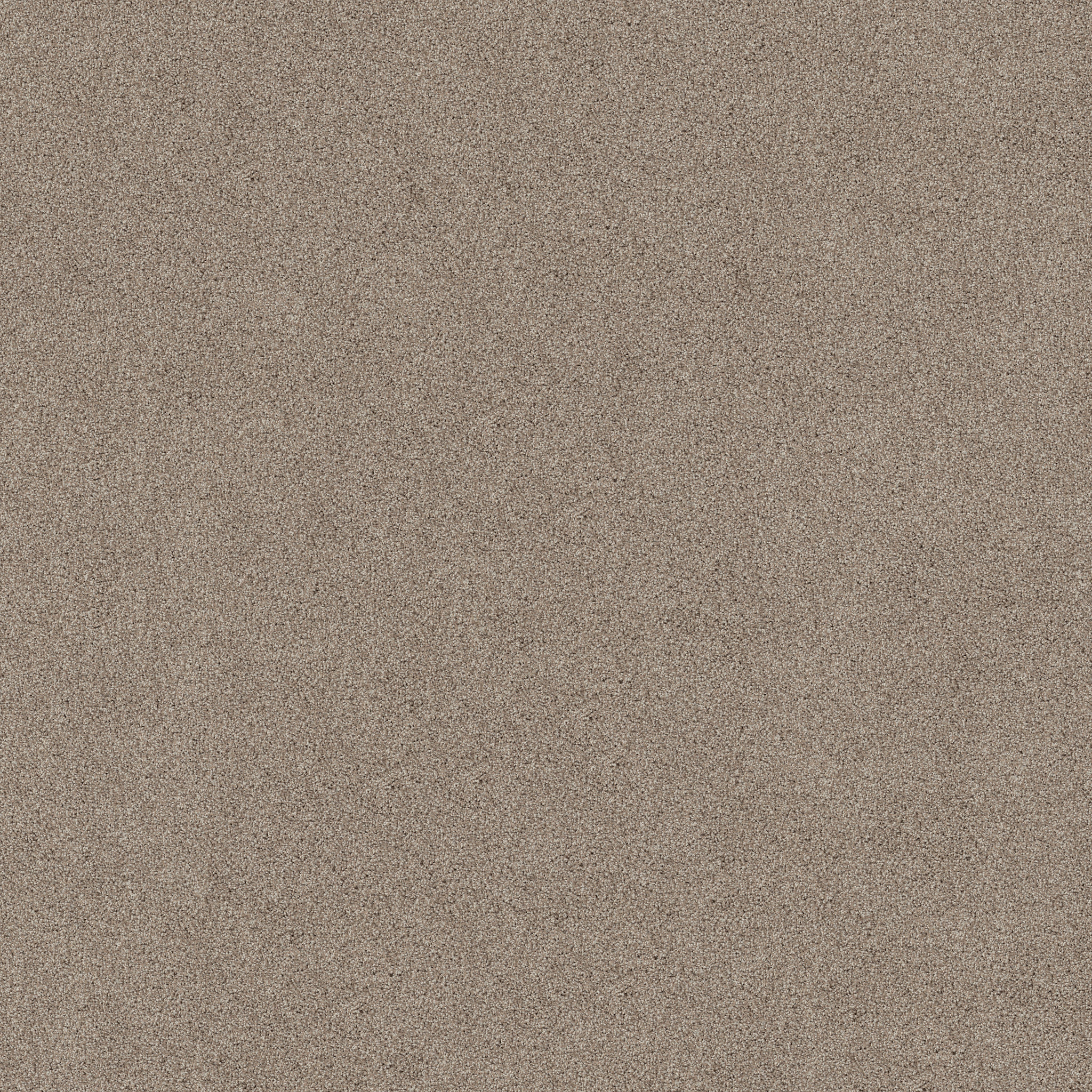 クワトロバーストキャビ プレミア makiii クワトロバーストキャビプレミア Quattro Burst Cavi Premier