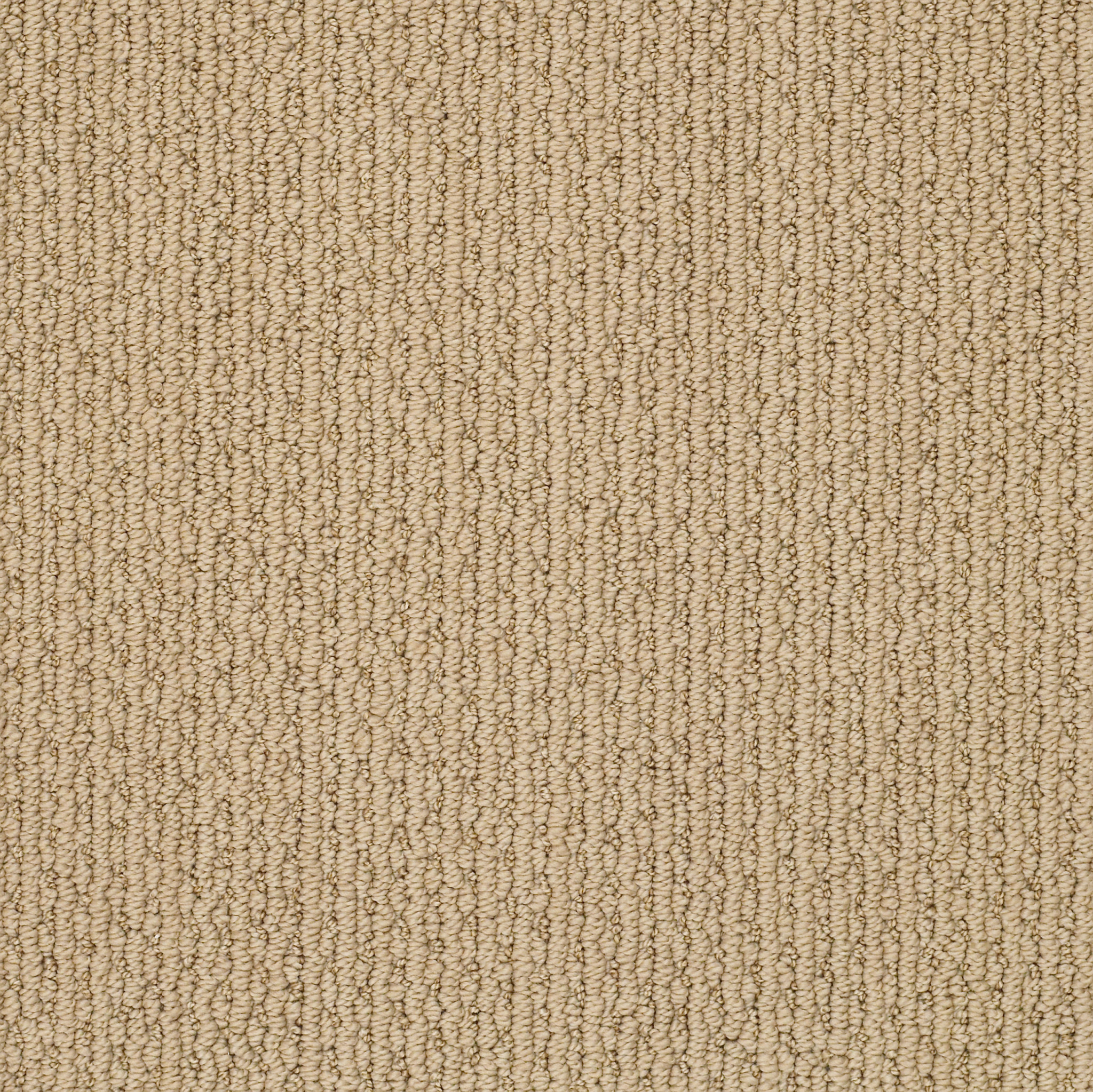 Top Line-Chamois-ZZB45_00221