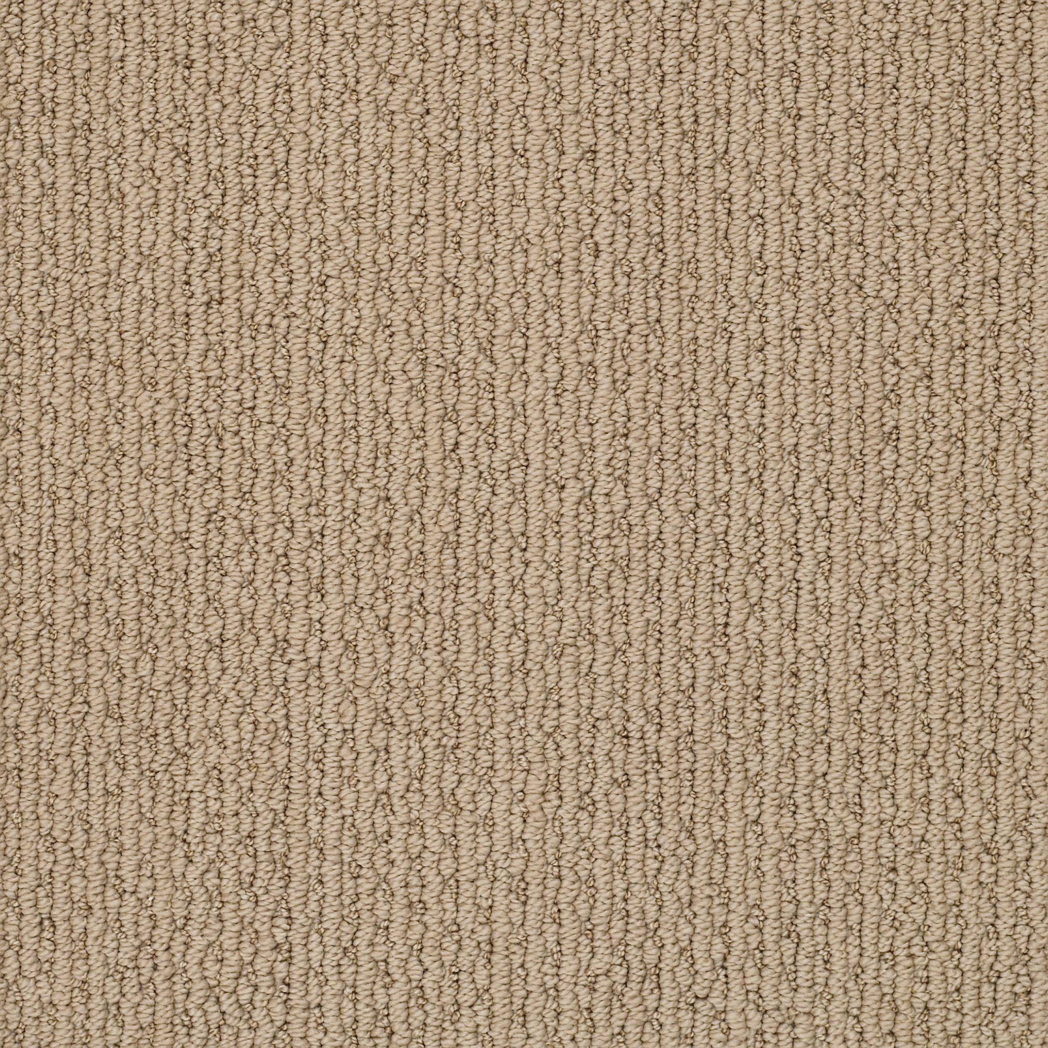 Top Line-Sierra-ZZB45_00224