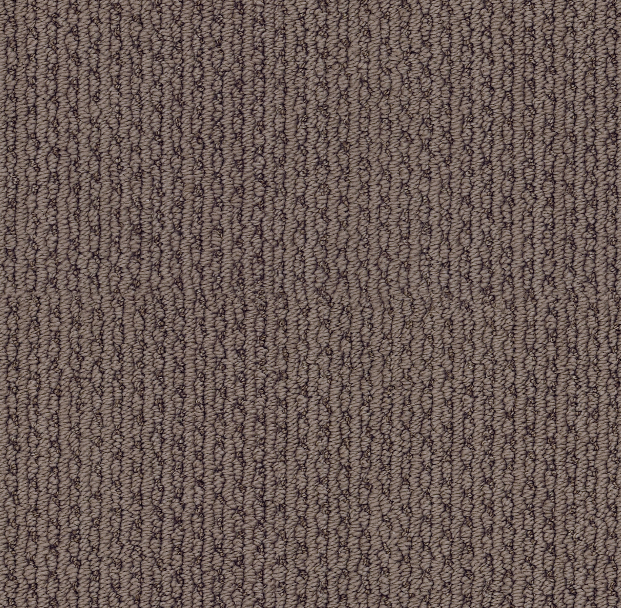 Top Line-Husky-ZZB45_00756