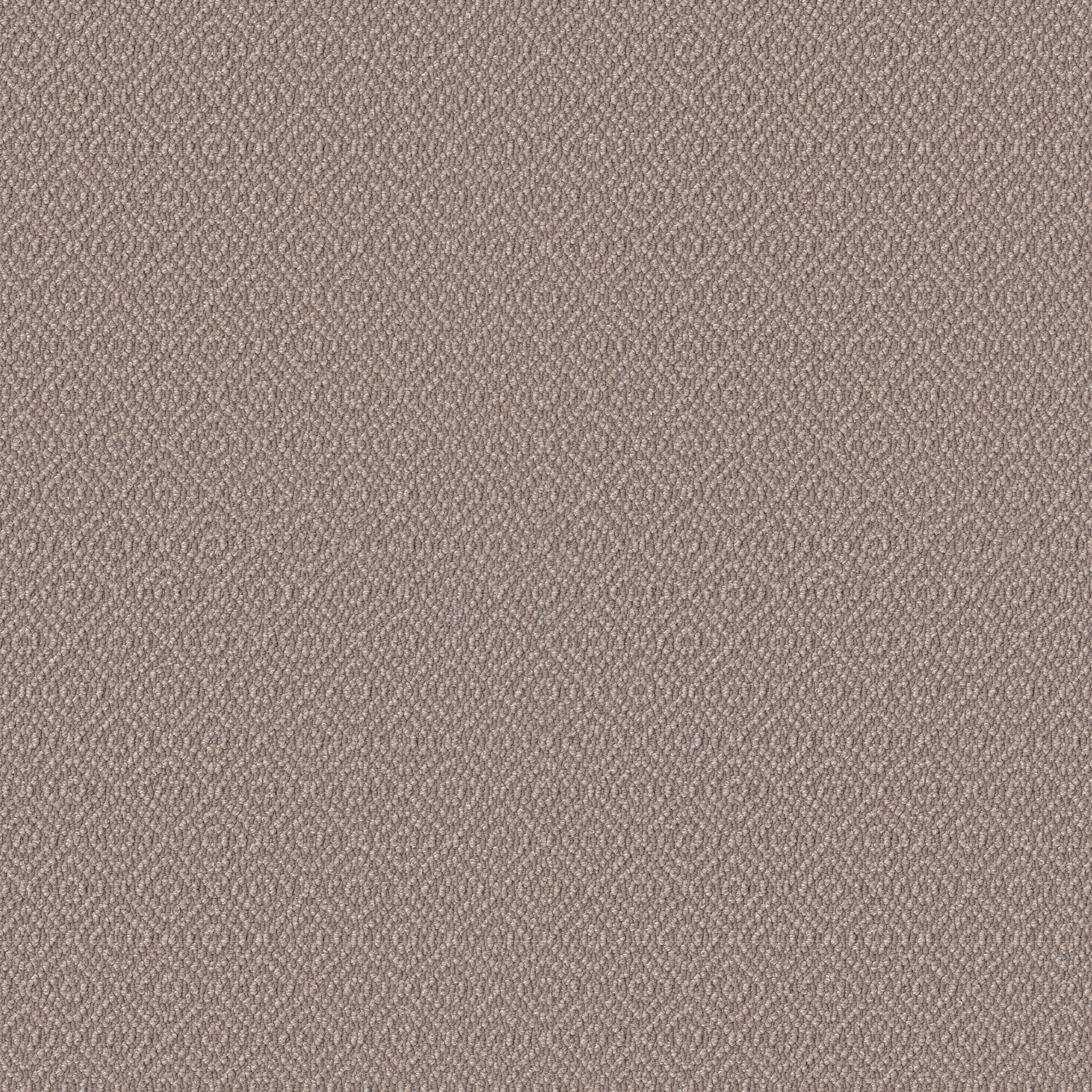 Marley-Creekbed-ZZB50_00713