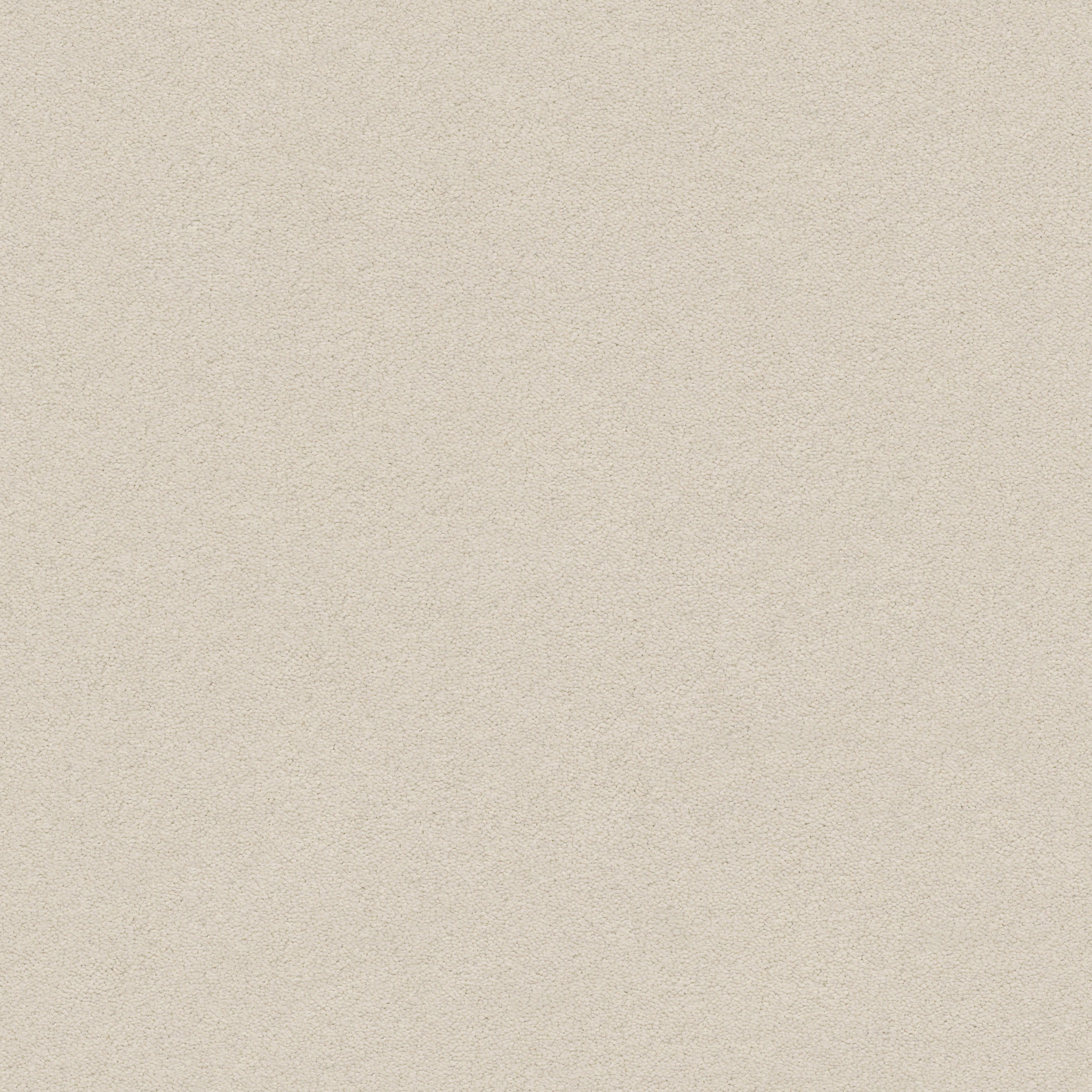 Brookside-Misty Dawn-ZZB64_00151