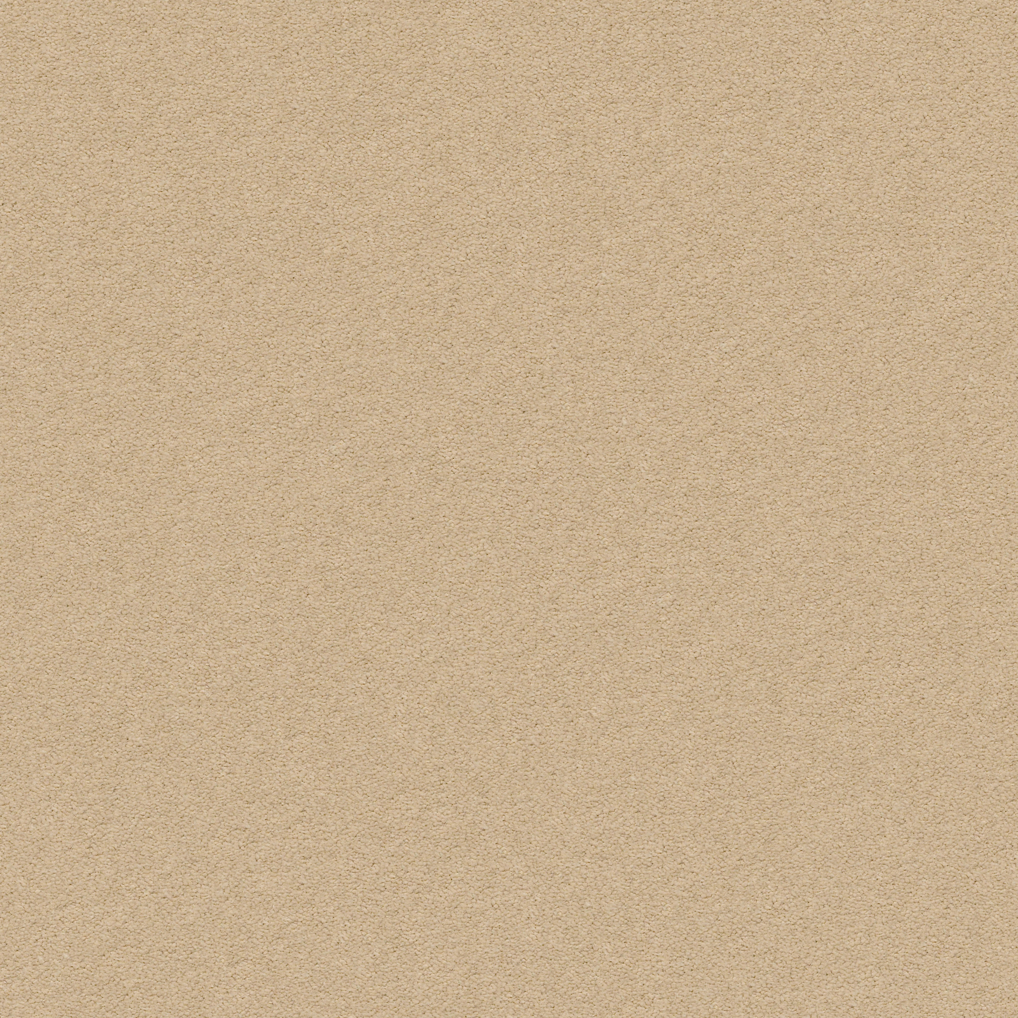 Brookside-Sugar Cookie-ZZB64_00173