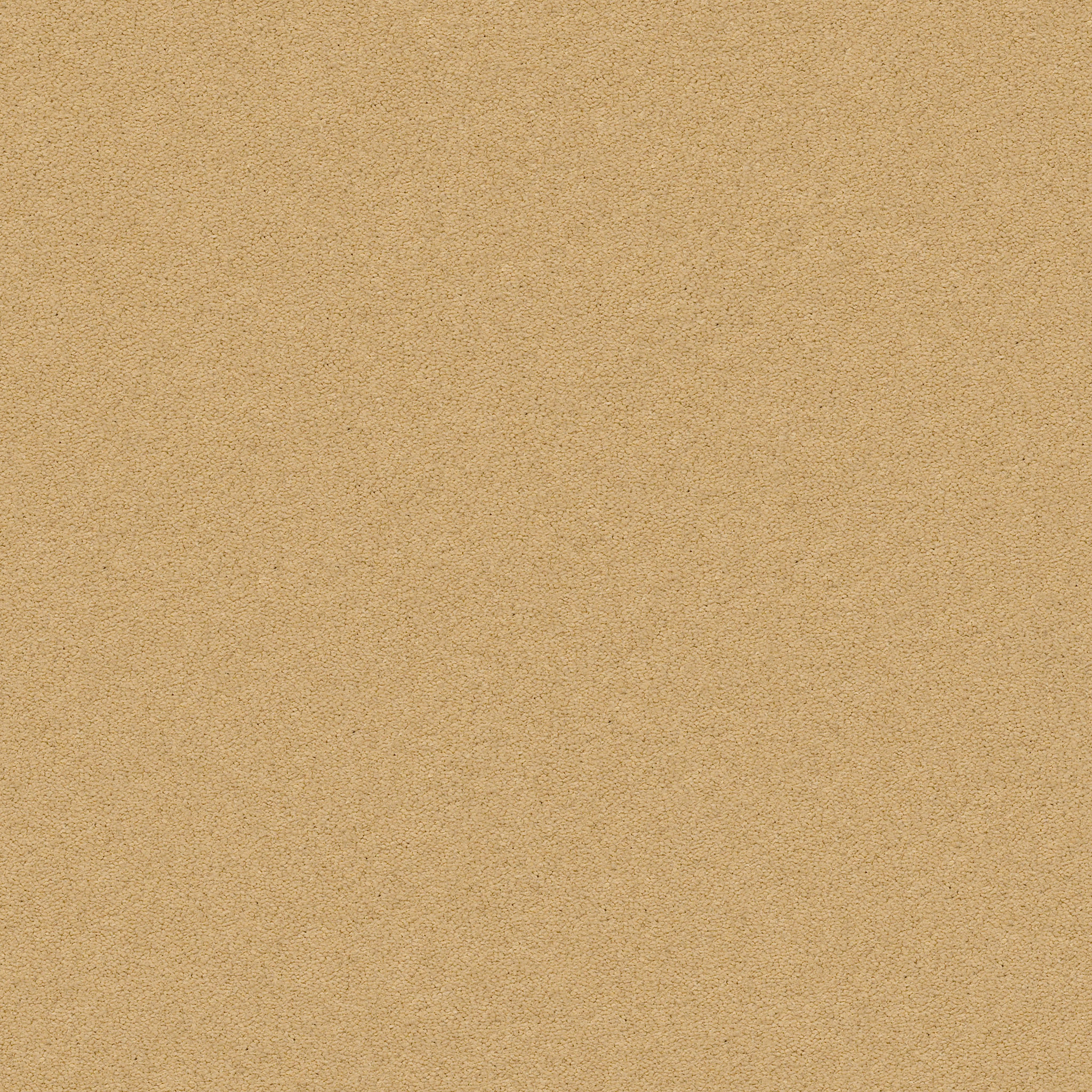 Brookside-Tawny Bisque-ZZB64_00225