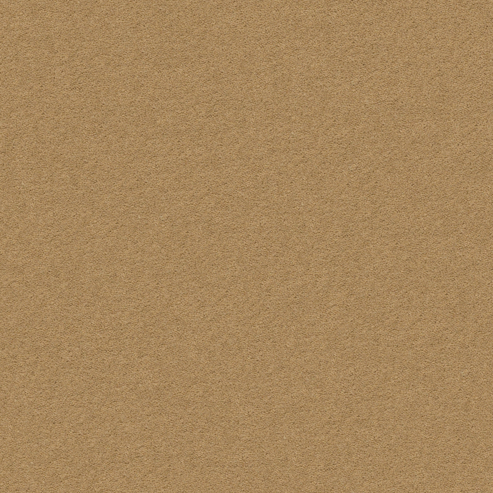 Brookside-Barley-ZZB64_00227