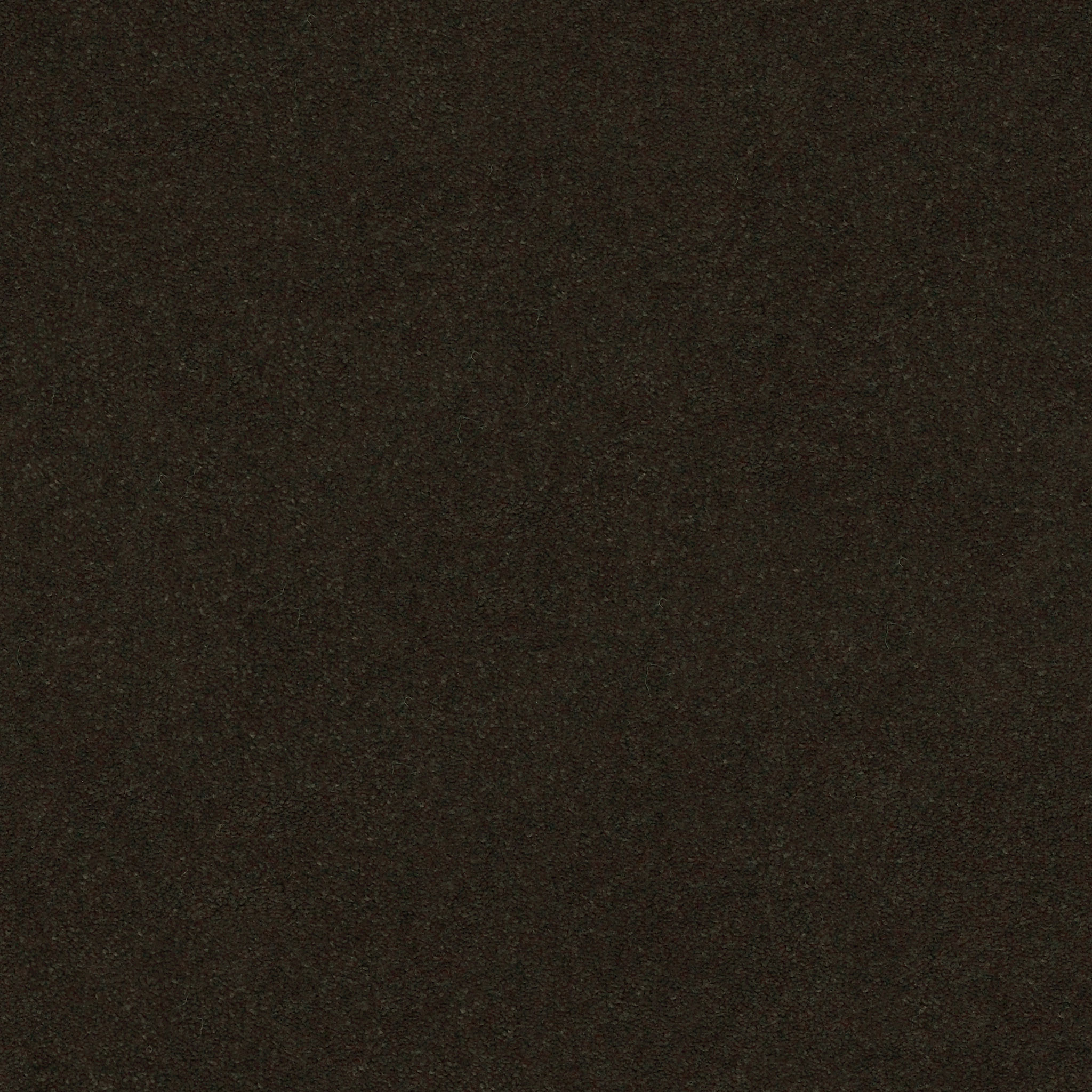 Brookside-Fir-ZZB64_00339