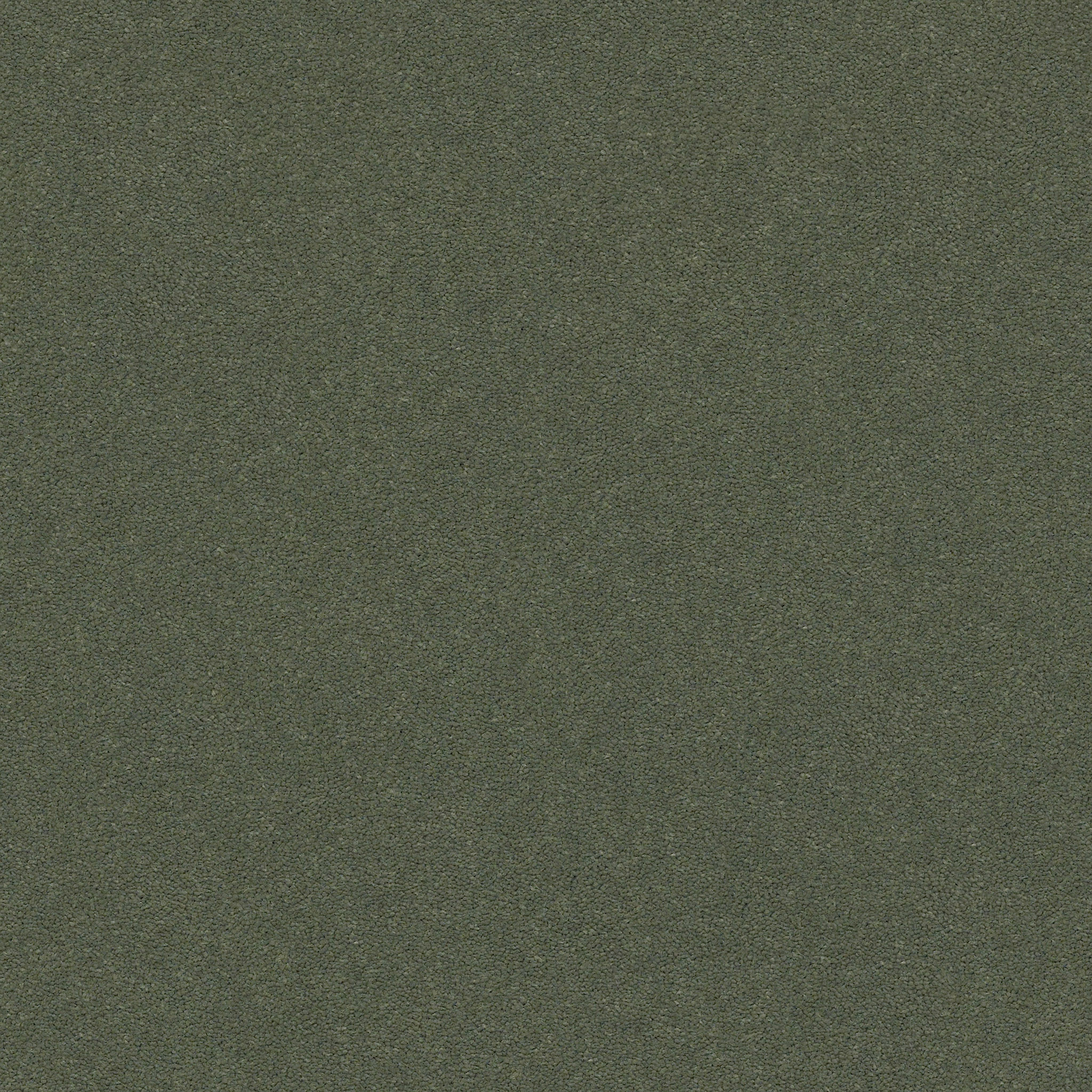 Brookside - Dynasty Green - ZZB64_00356