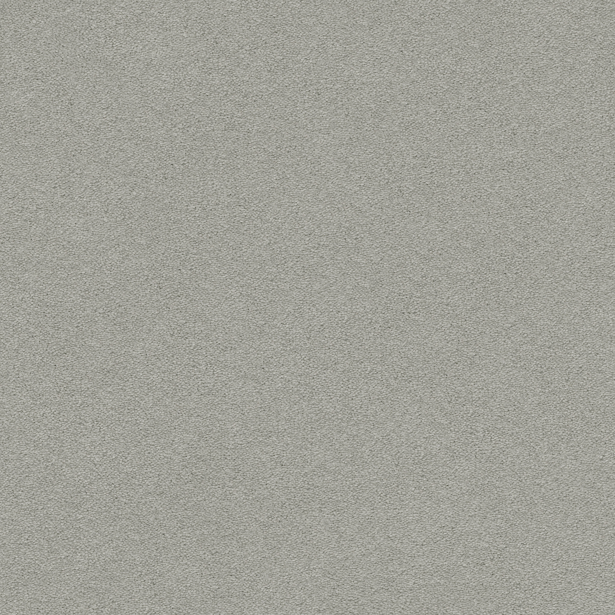 Brookside-Chelsea Fog-ZZB64_00544