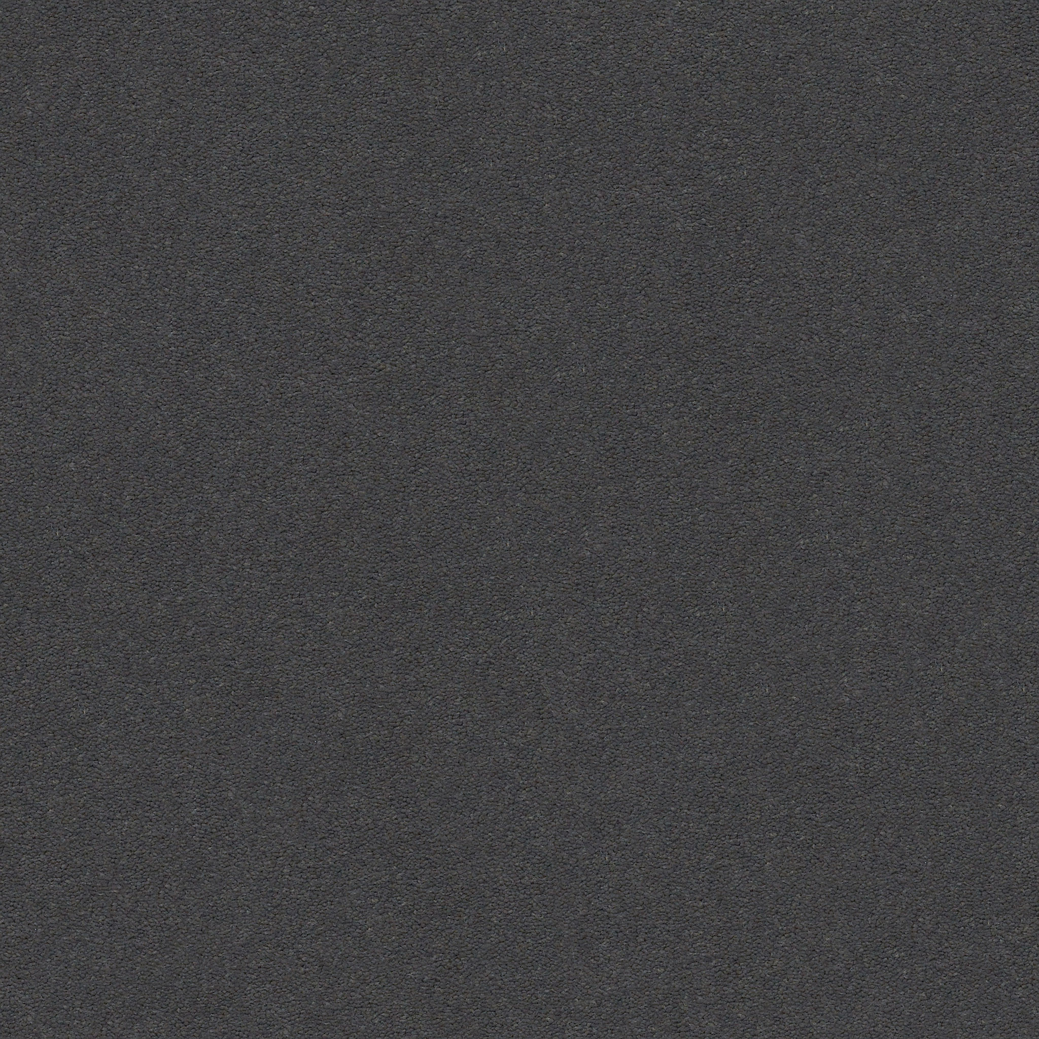 Brookside-Chic Gray-ZZB64_00548