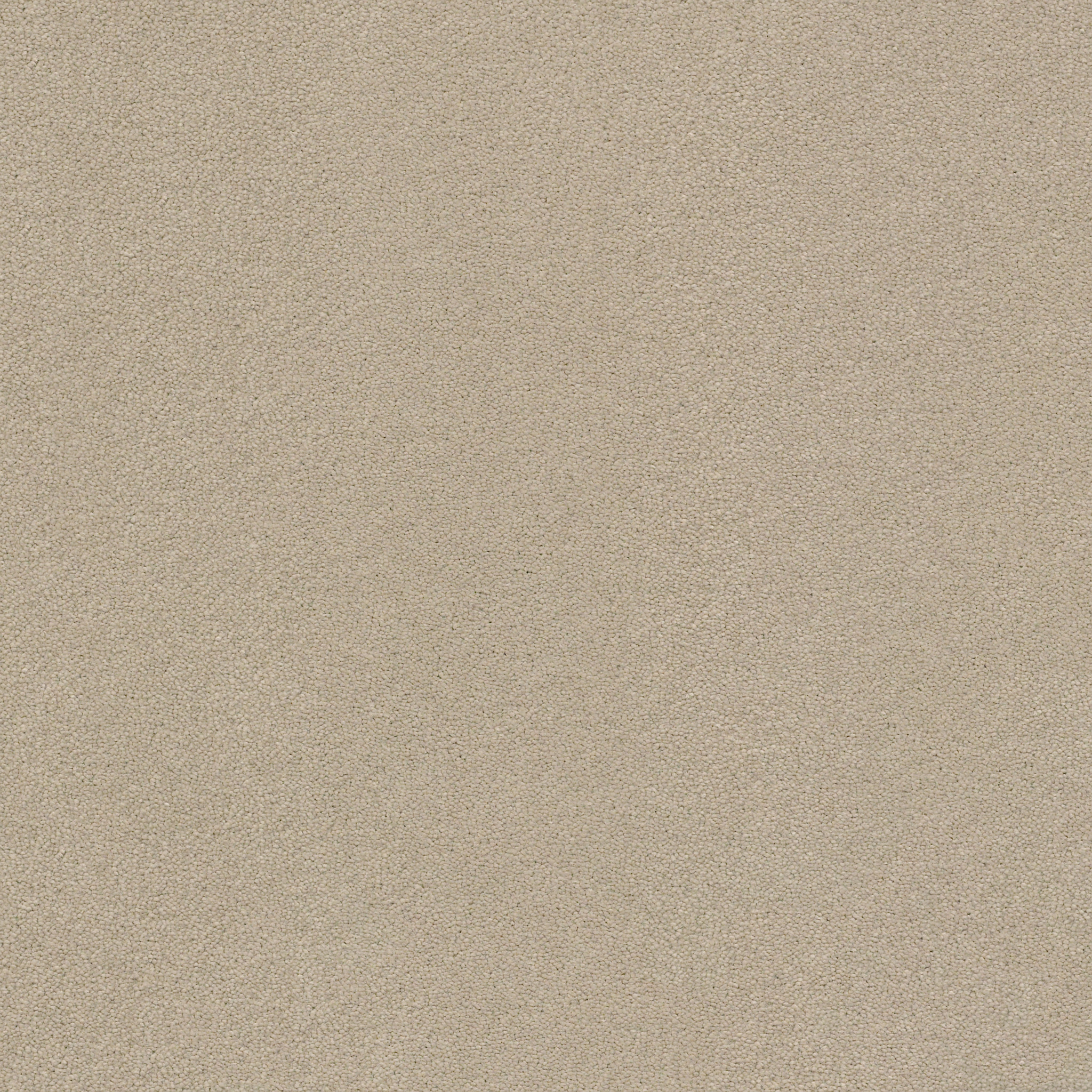 Brookside-Pashmina-ZZB64_00754