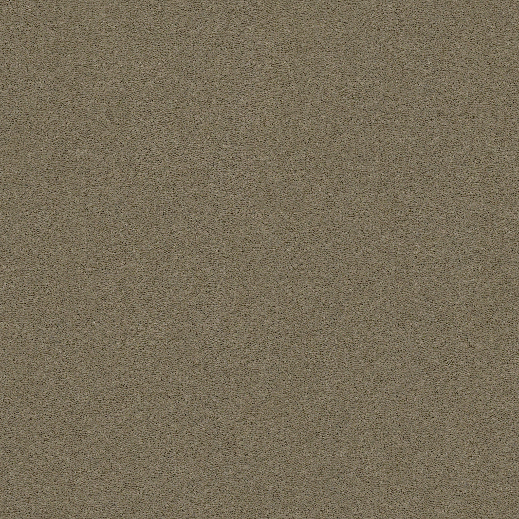 Brookside-Sleek Suede-ZZB64_00757