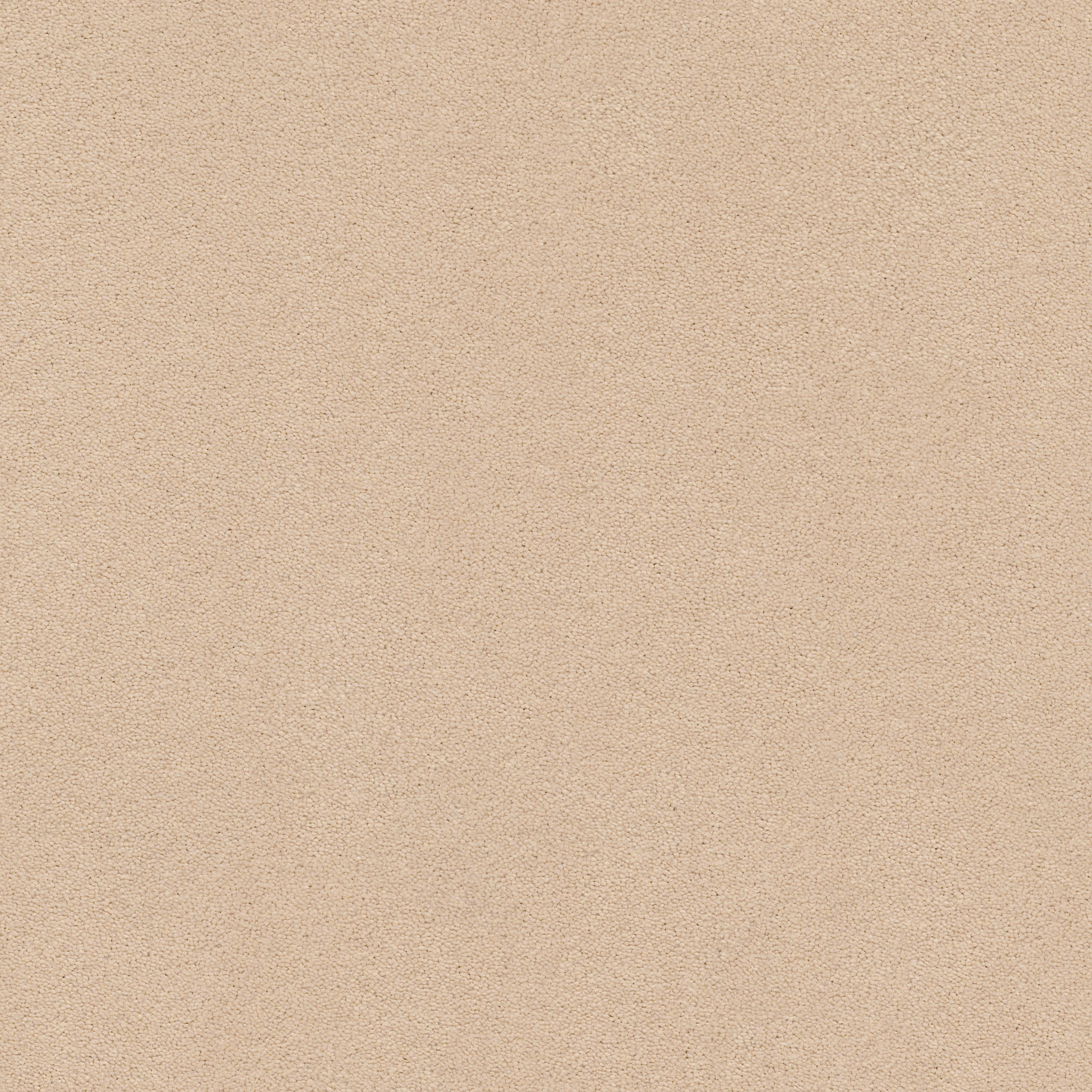 Brookside-Cocoa Sand-ZZB64_00773