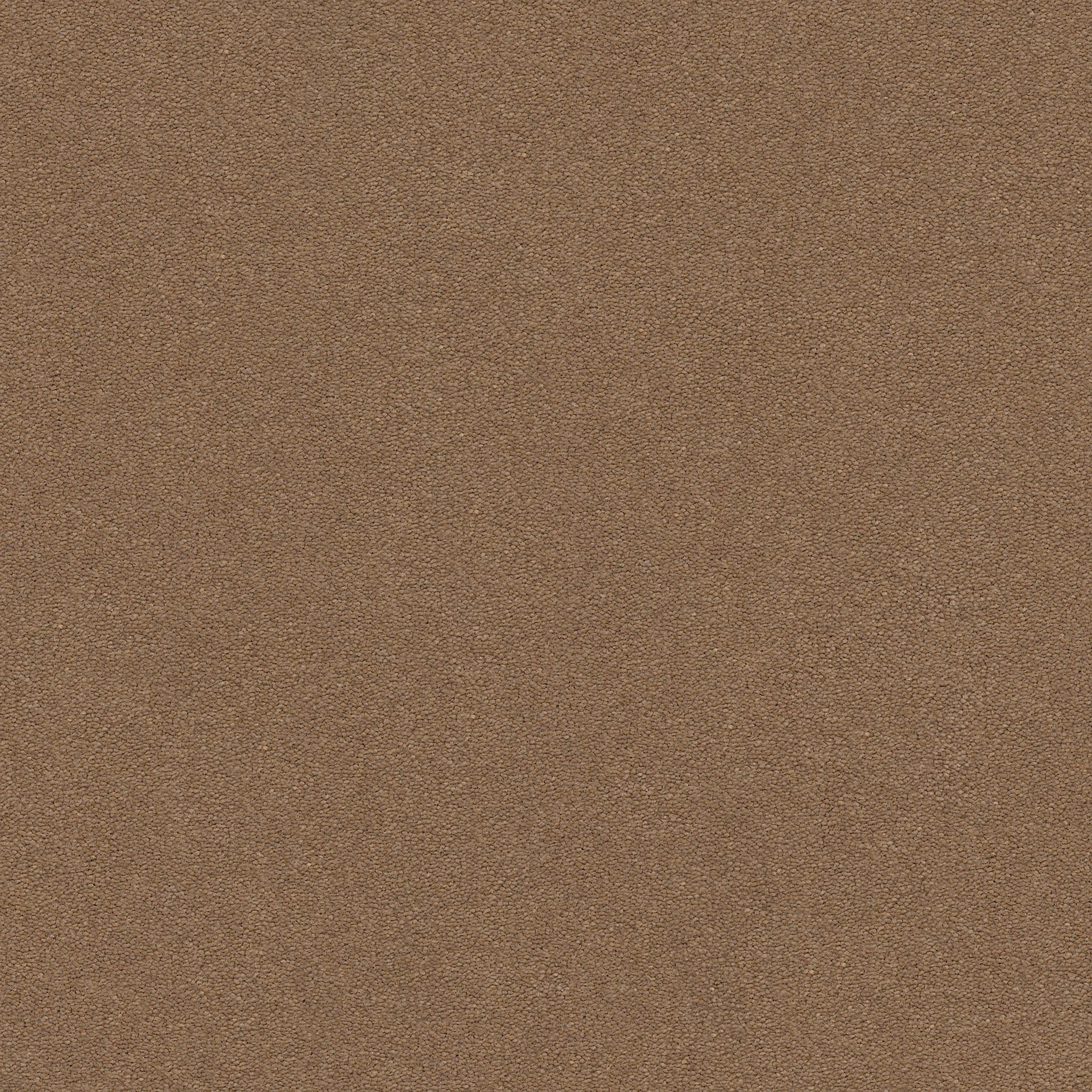 Brookside-Mystic Brown-ZZB64_00775