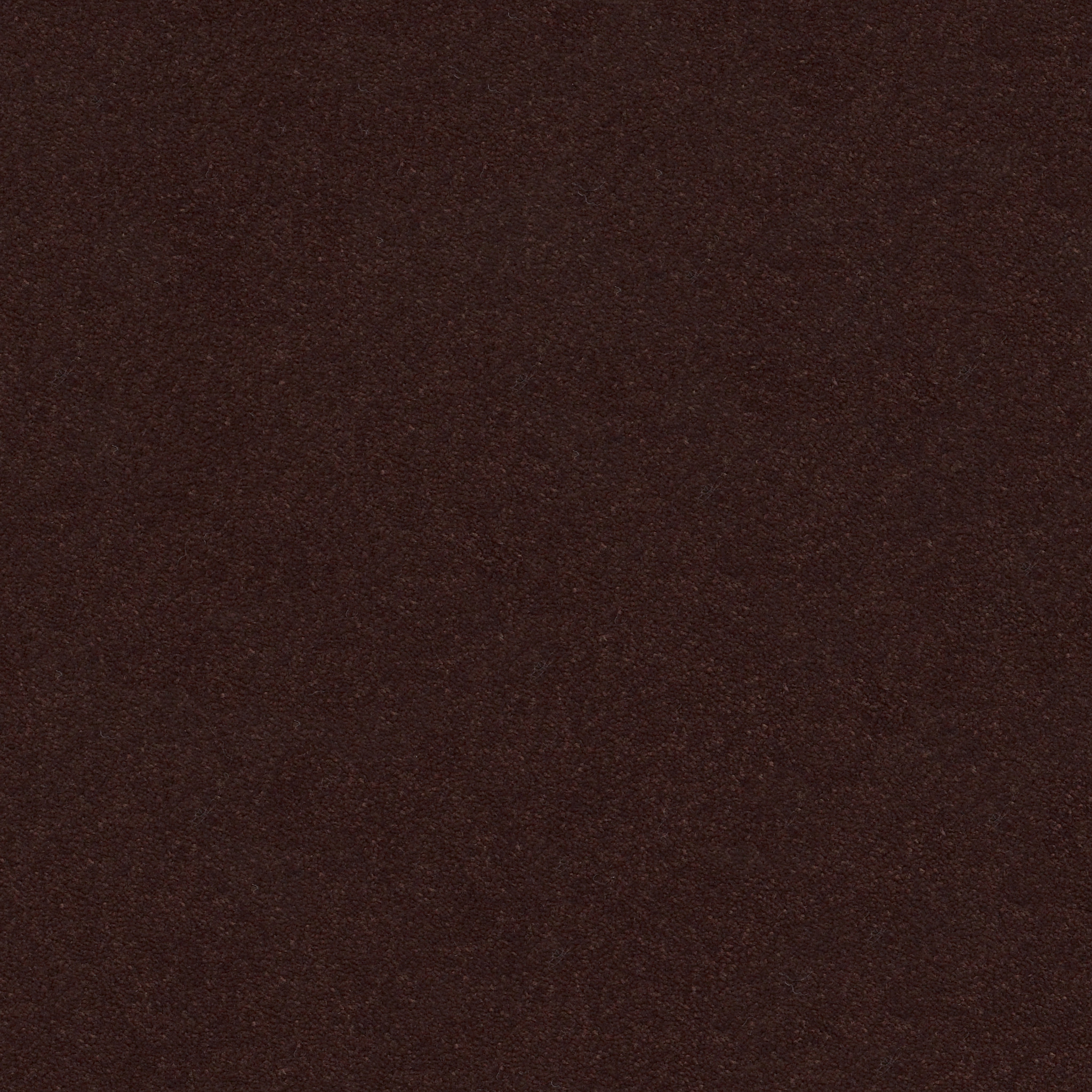 Brookside - Root Beer - ZZB64_00778