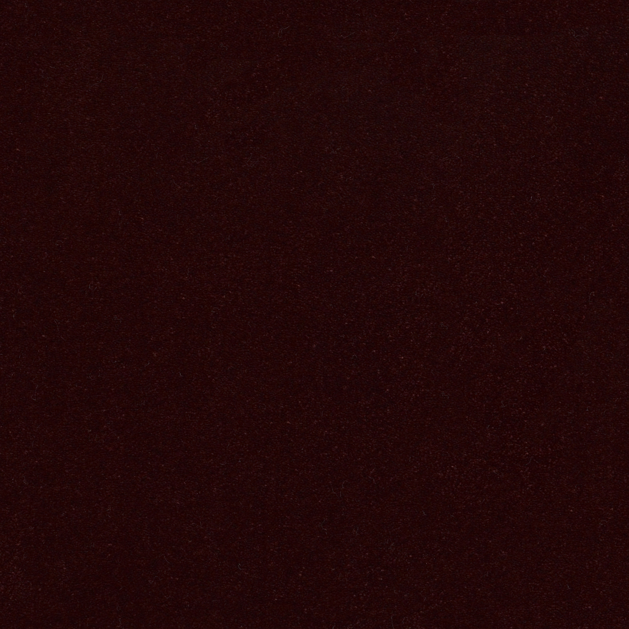 Brookside-Scarlet-ZZB64_00868