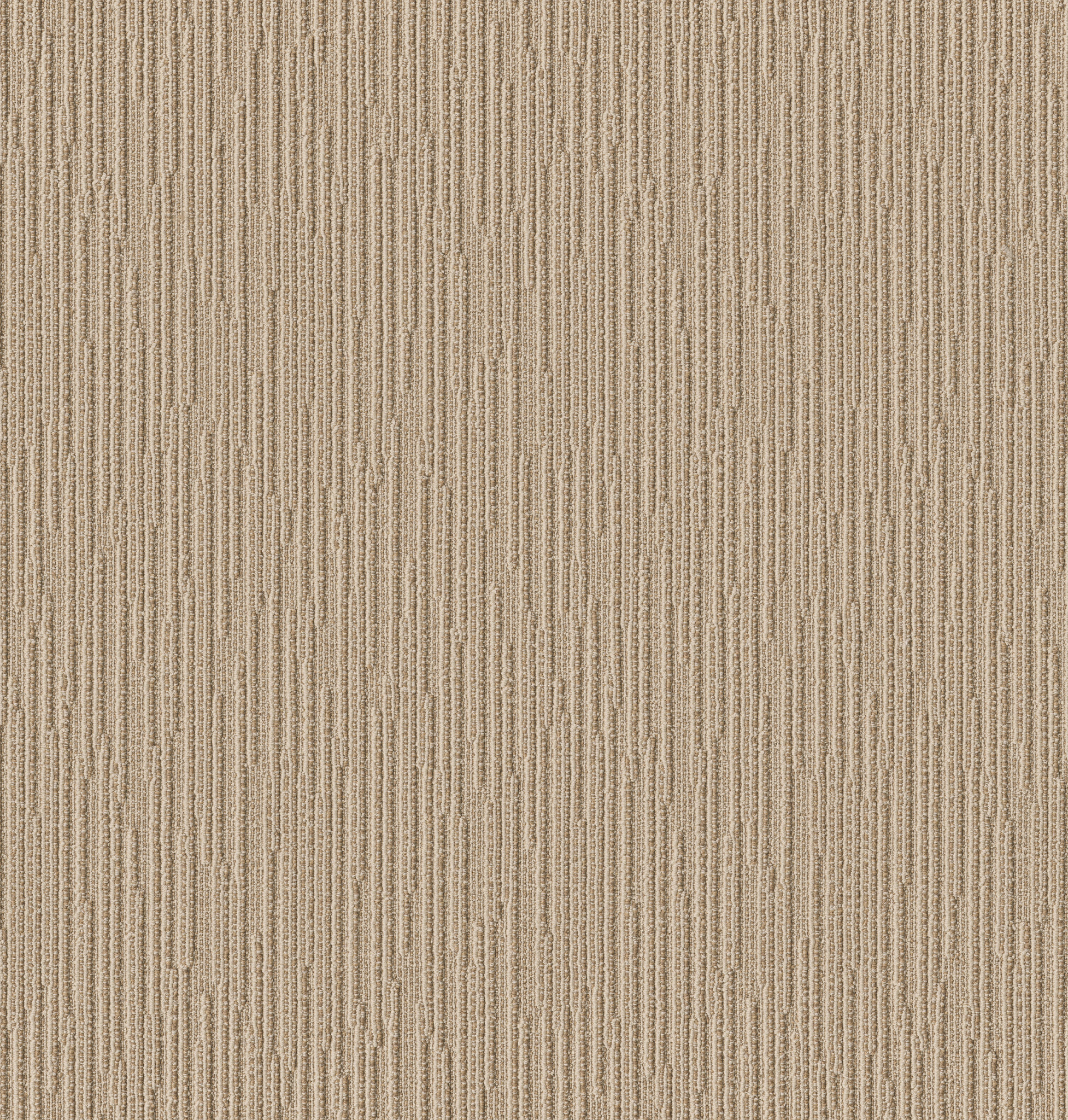 Catch-Sesame-ZZB75_00213