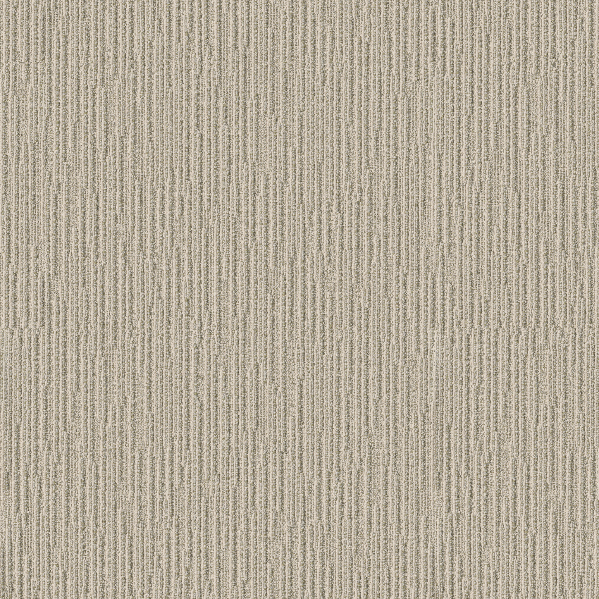 Catch-Soft Fern-ZZB75_00312