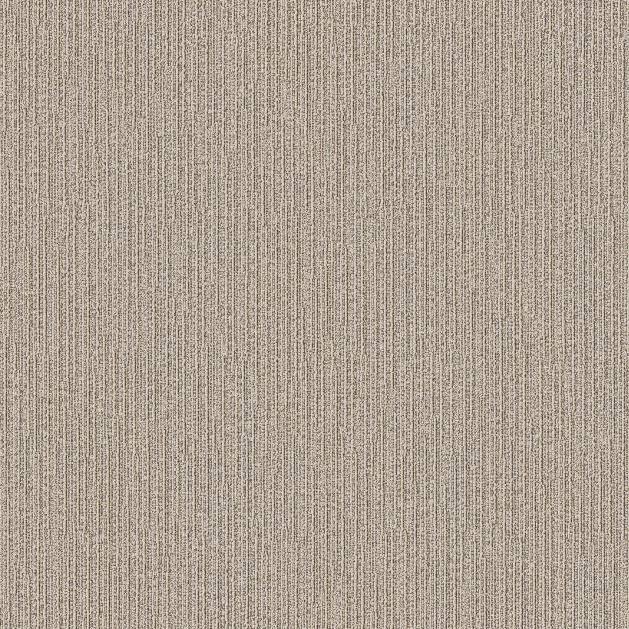 Catch-Oyster Shell-ZZB75_00511