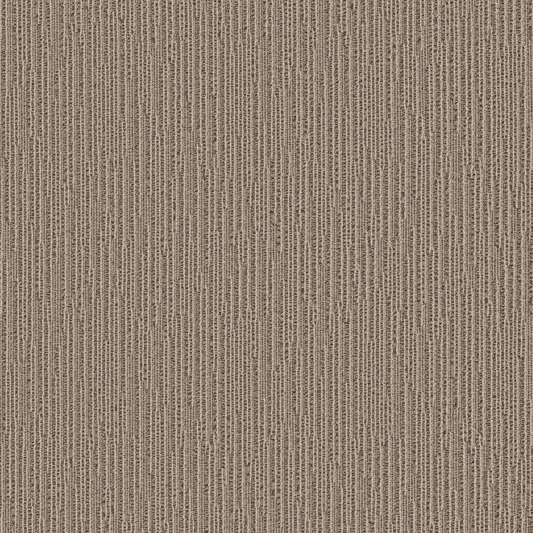 Catch-Desert Palm-ZZB75_00717