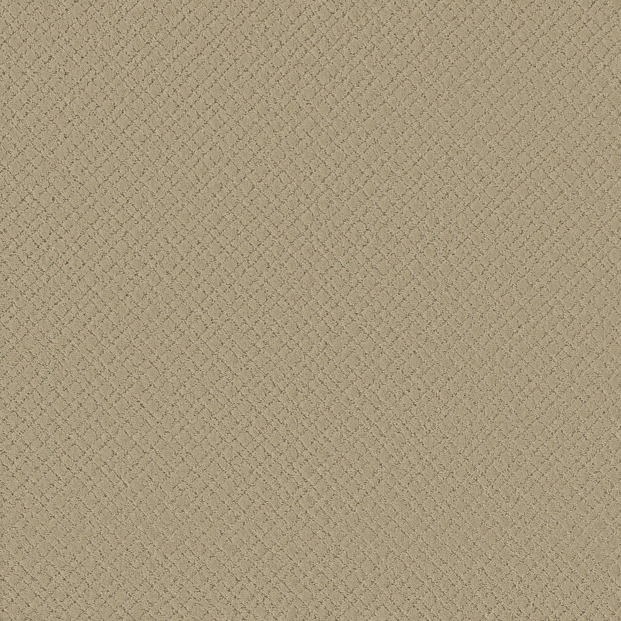 Reflective-Bungalow-ZZB76_00103