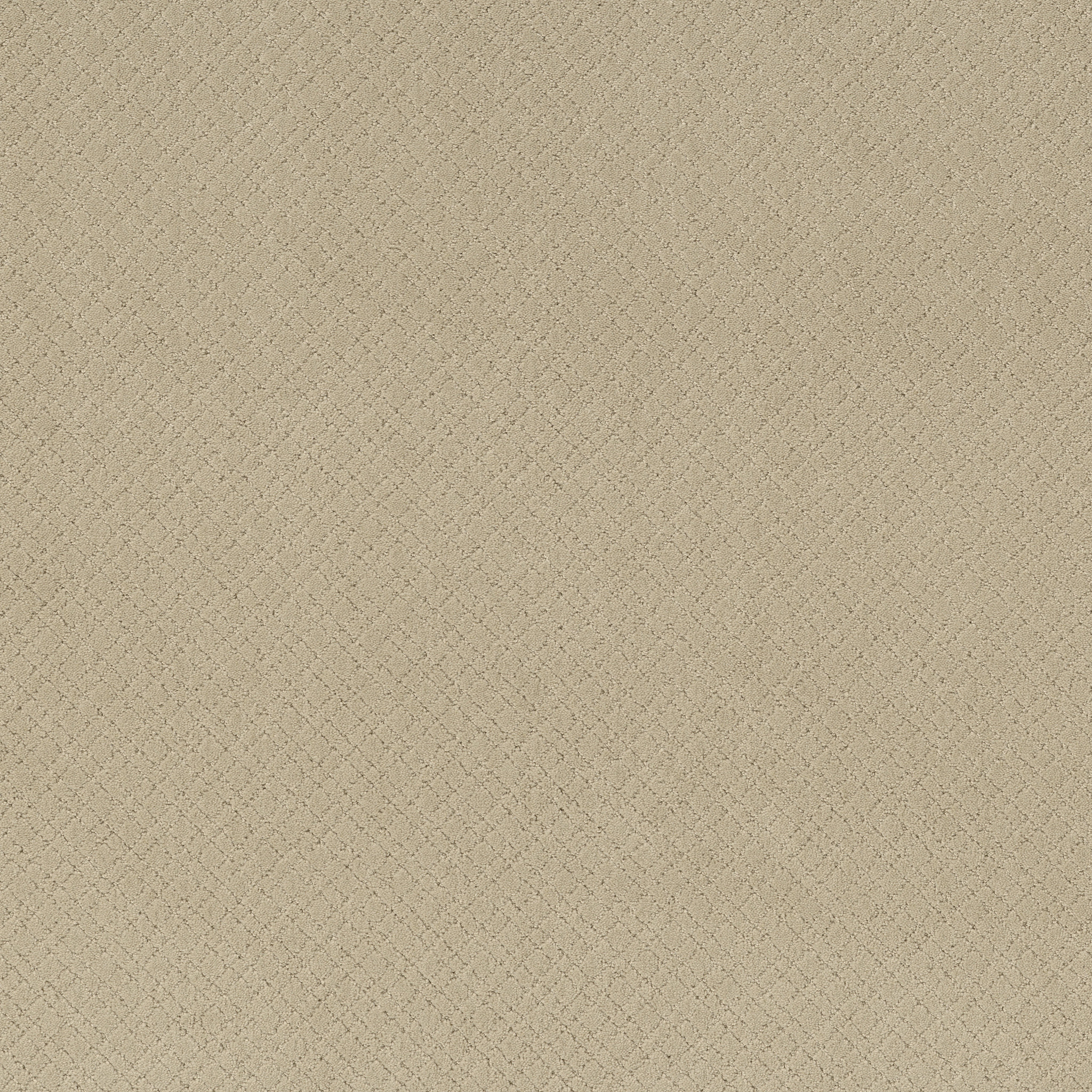 Reflective-Morning Light-ZZB76_00113