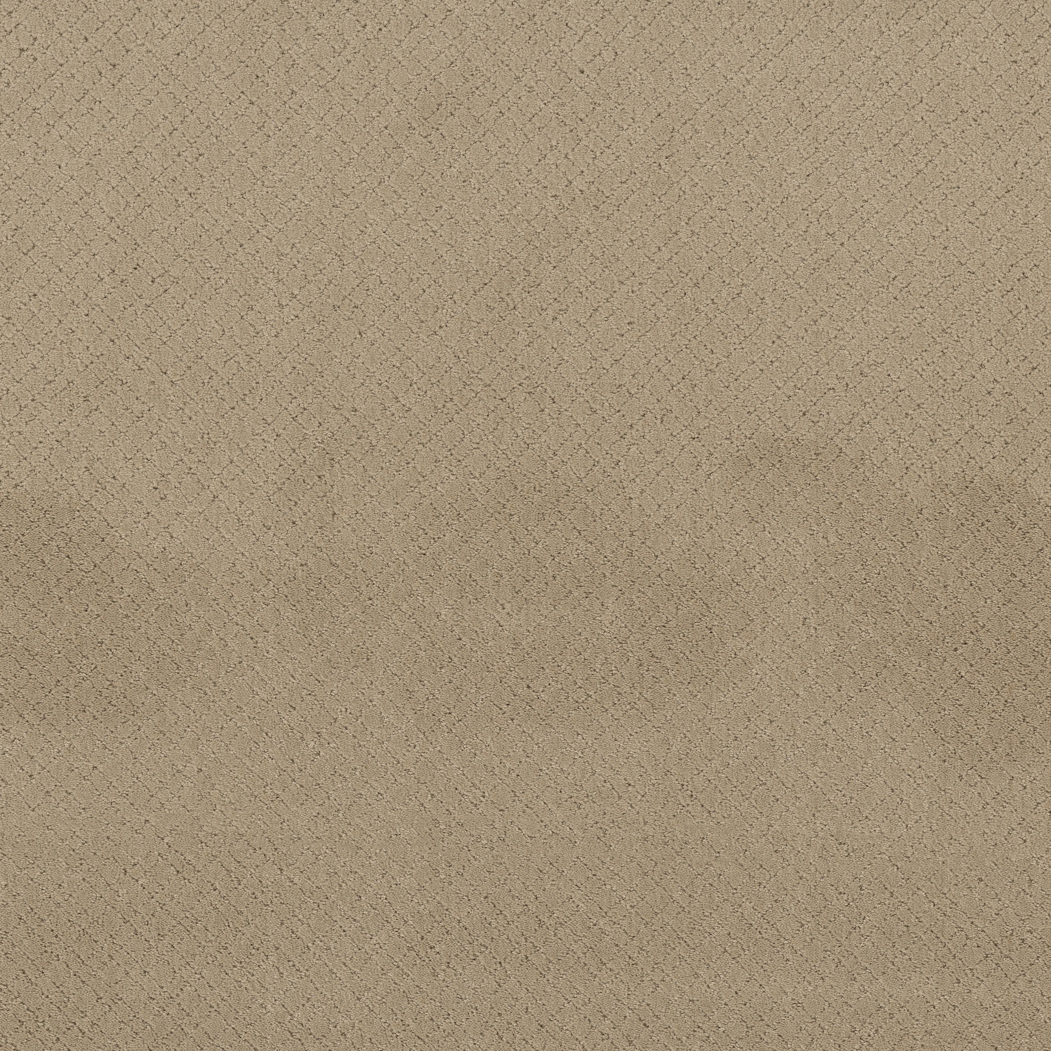 Reflective-Oak Ridge-ZZB76_00114