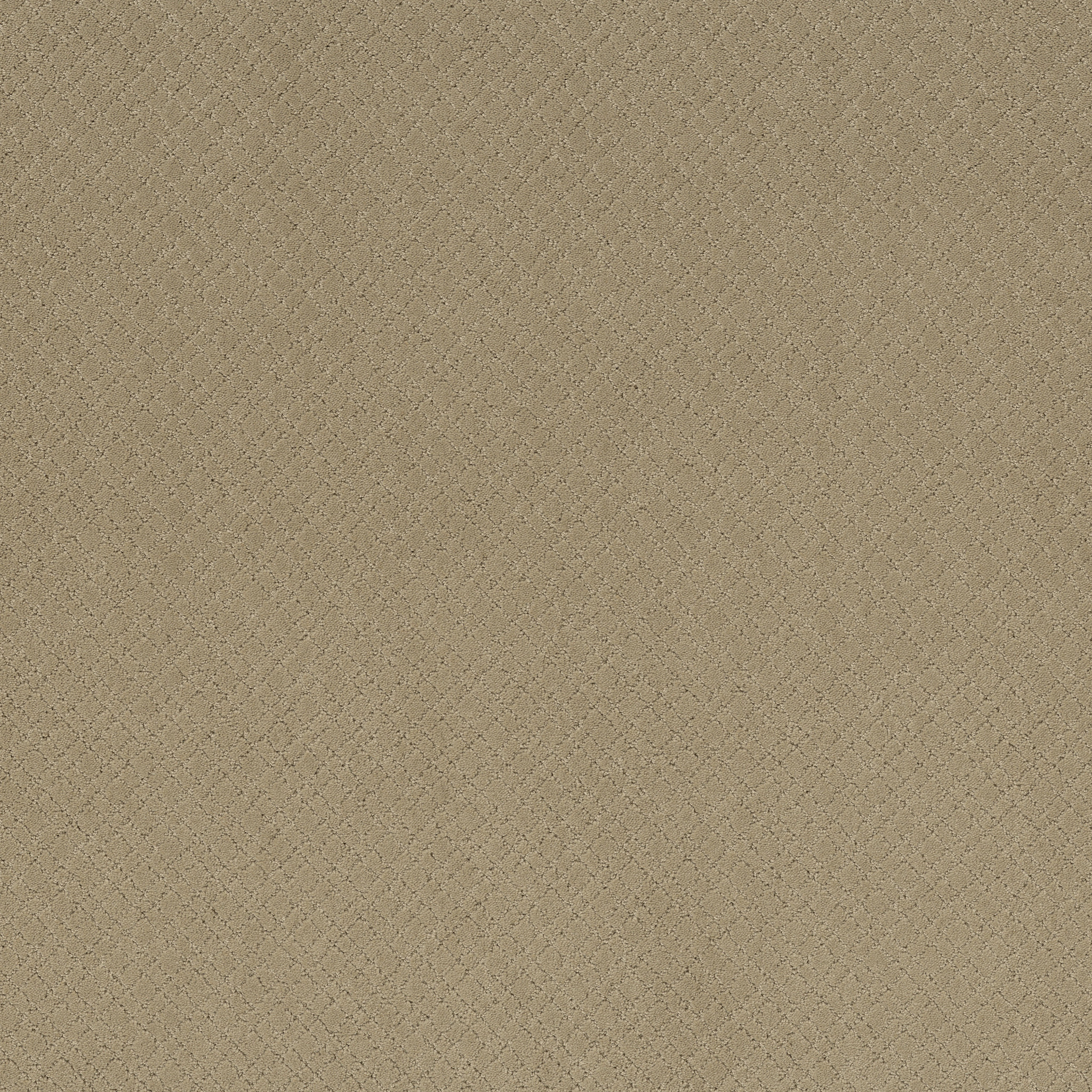 Reflective-Coronado-ZZB76_00115