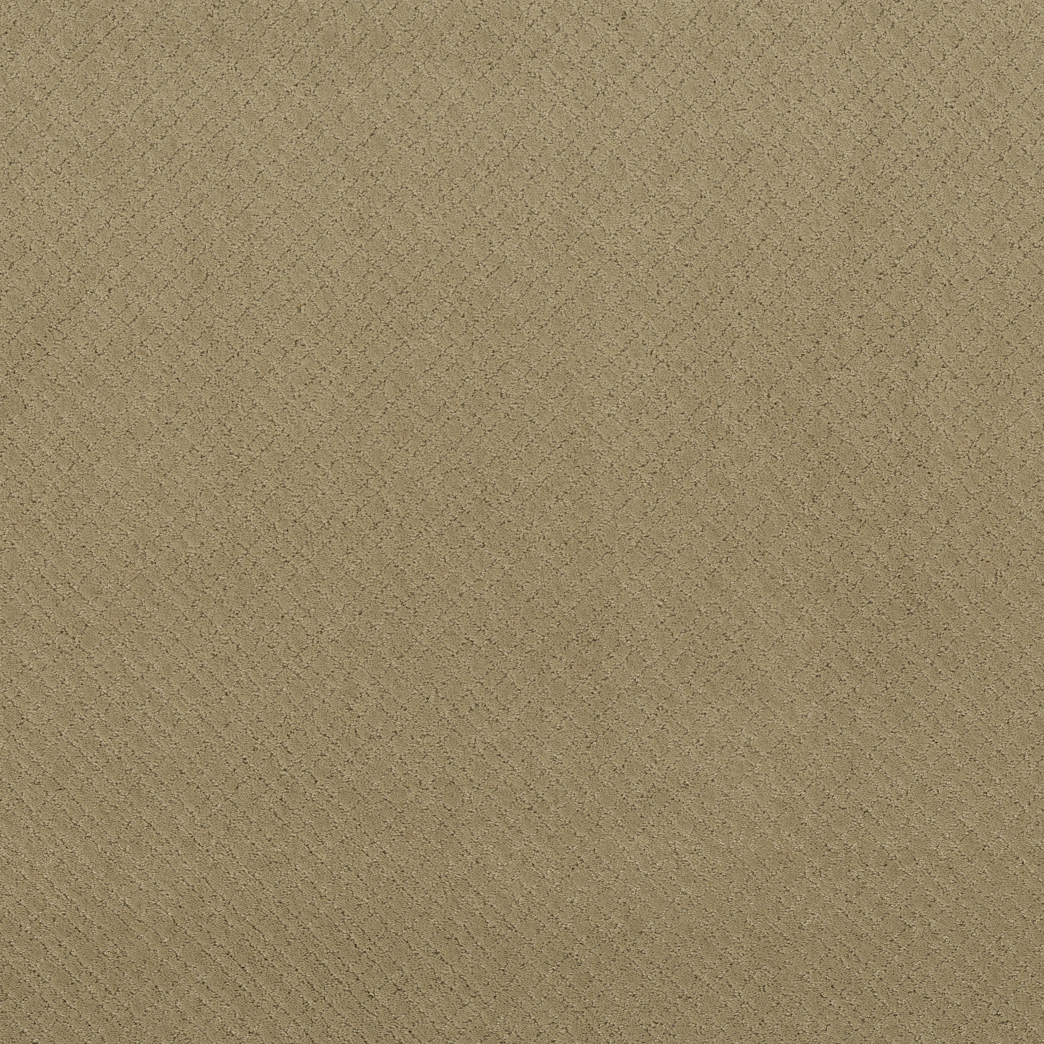 Reflective-Folklore-ZZB76_00123