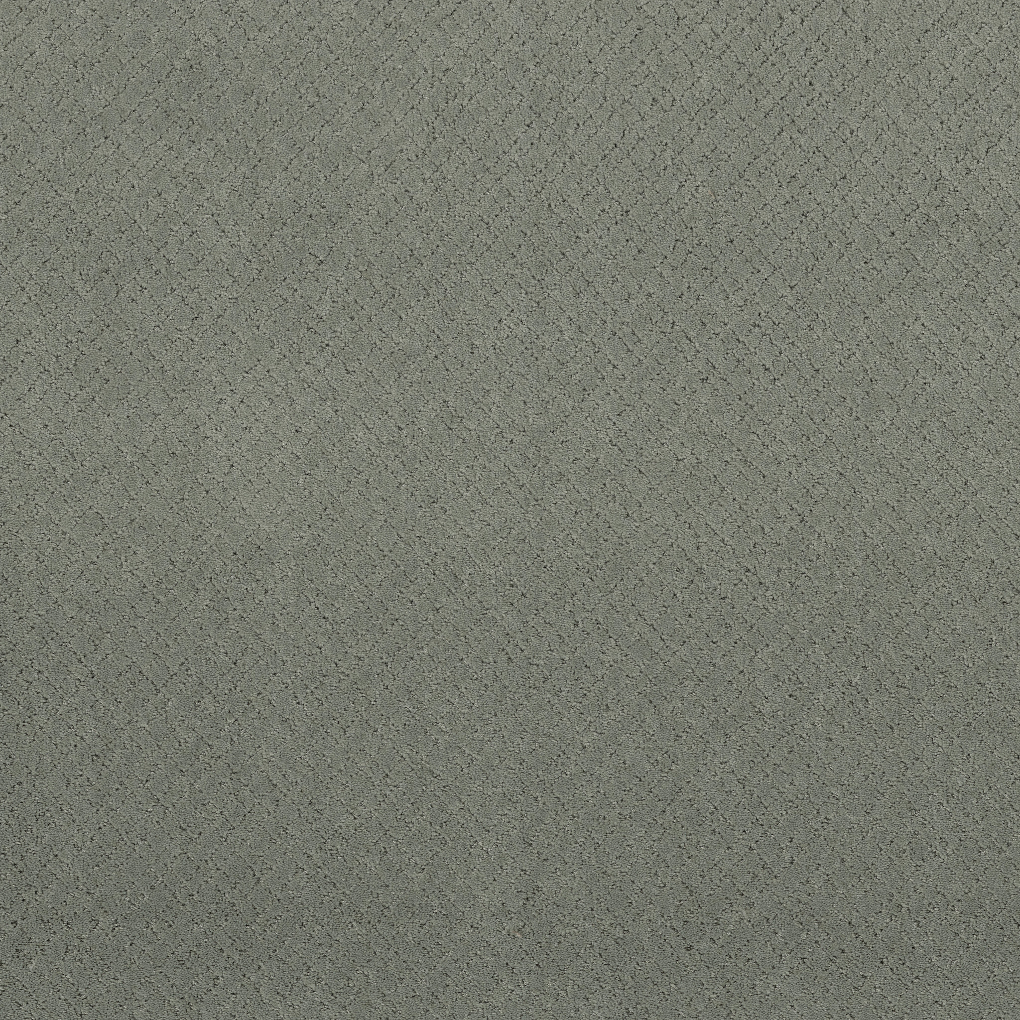 Reflective-Pine Forest-ZZB76_00314