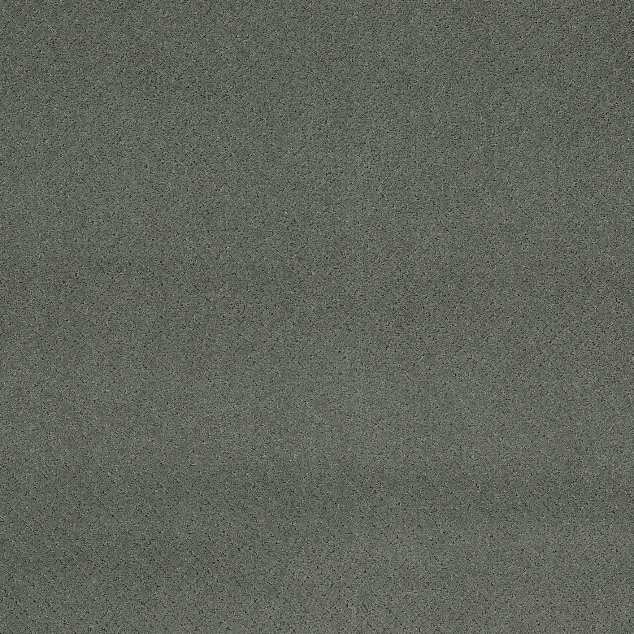 Reflective-Wonder-ZZB76_00316