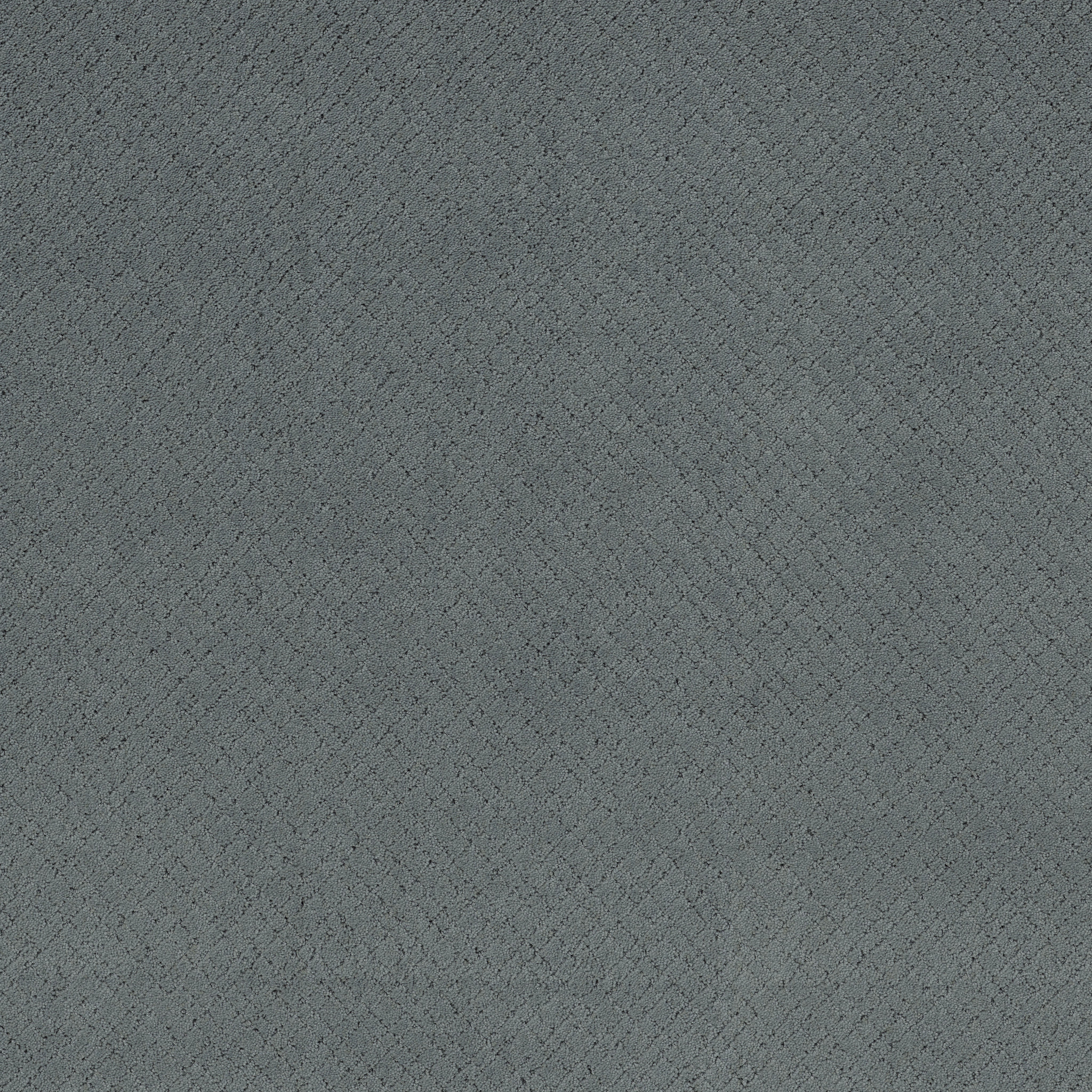 Reflective-Comet-ZZB76_00454