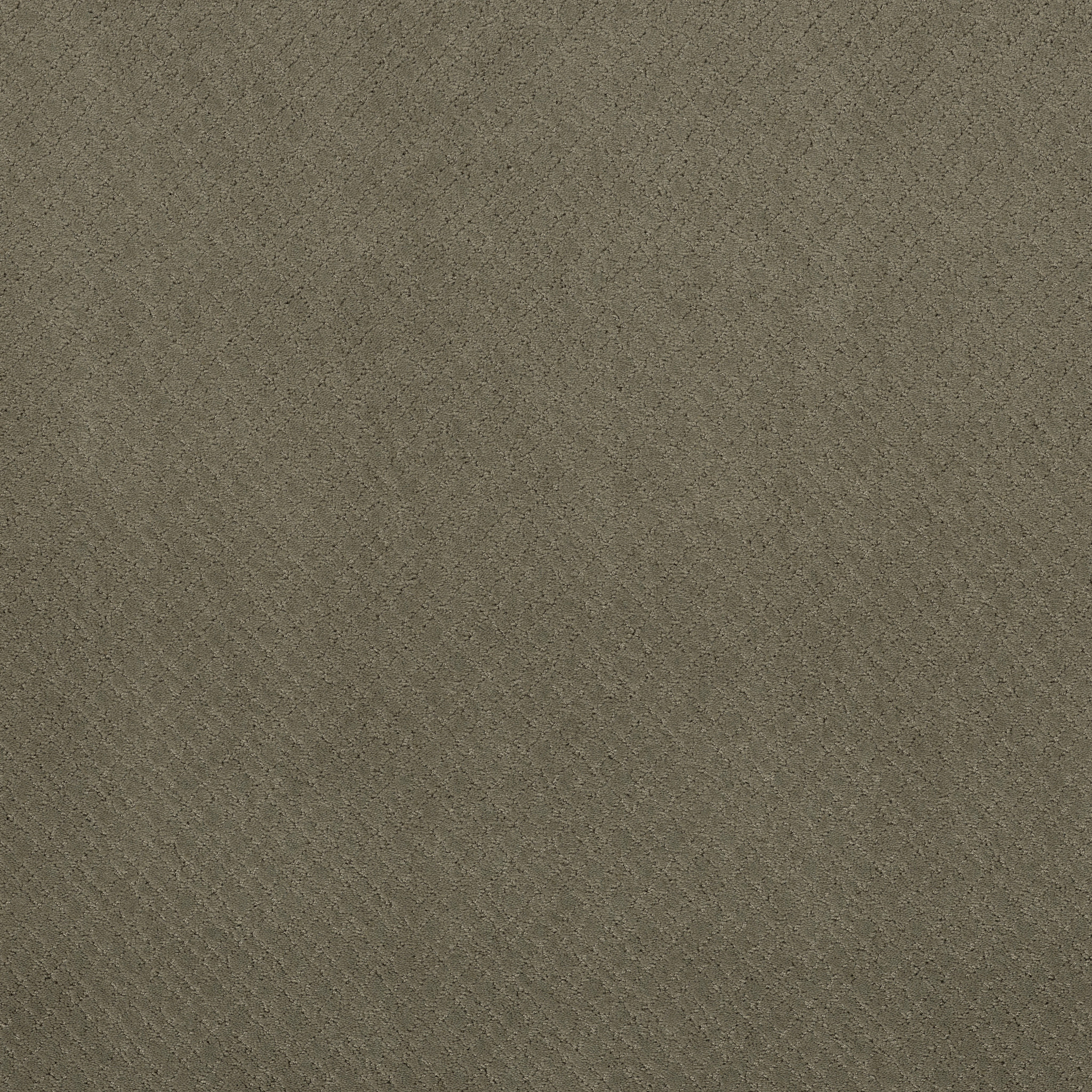 Reflective-Herbal-ZZB76_00535