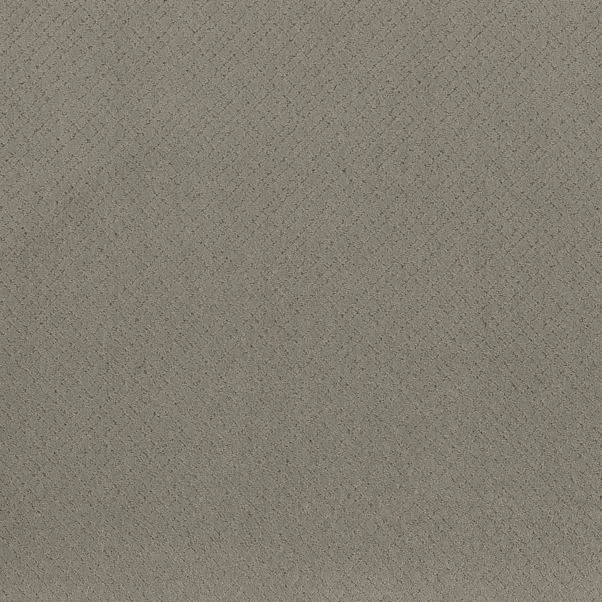 Reflective-Intrigue-ZZB76_00552