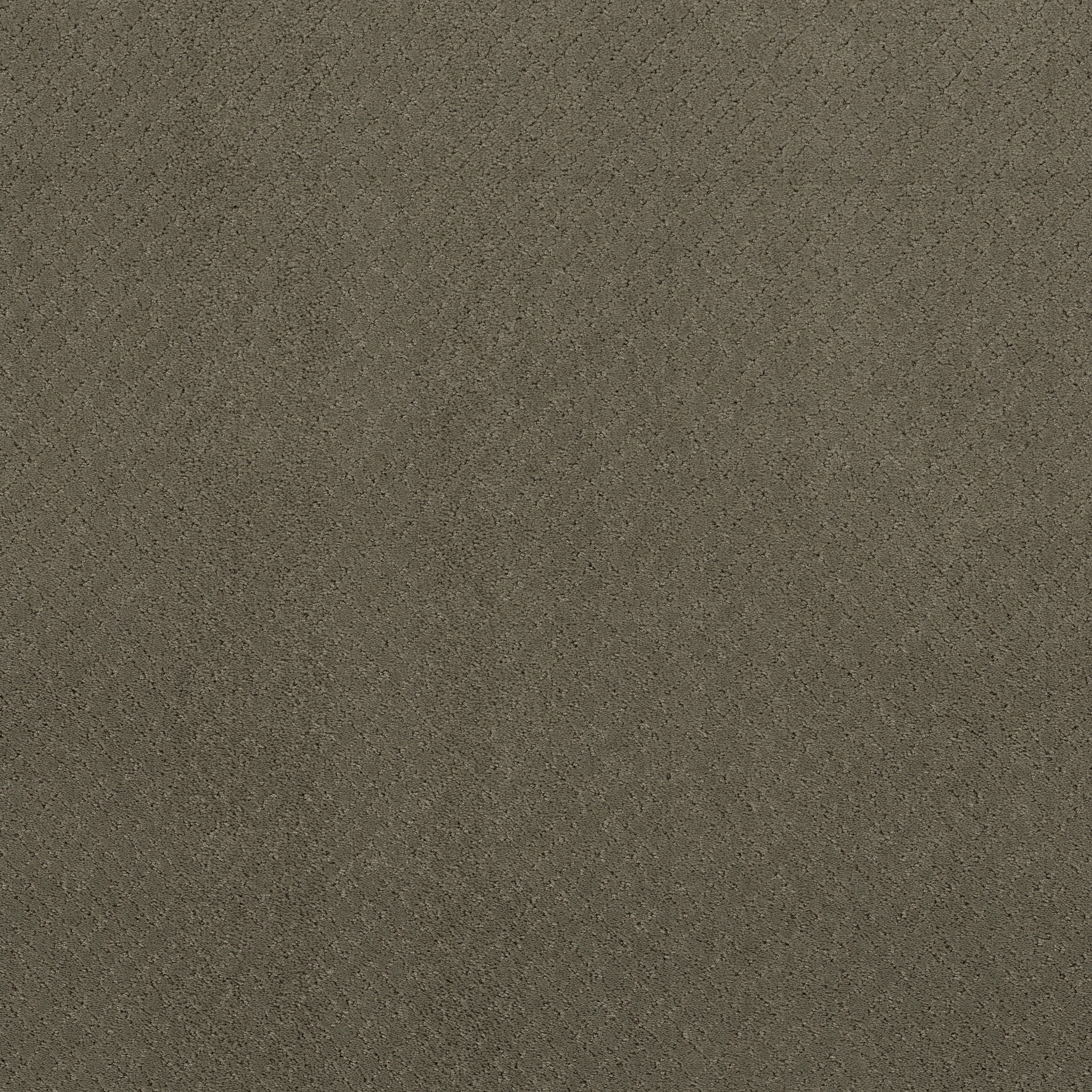 Reflective-Dash-ZZB76_00556