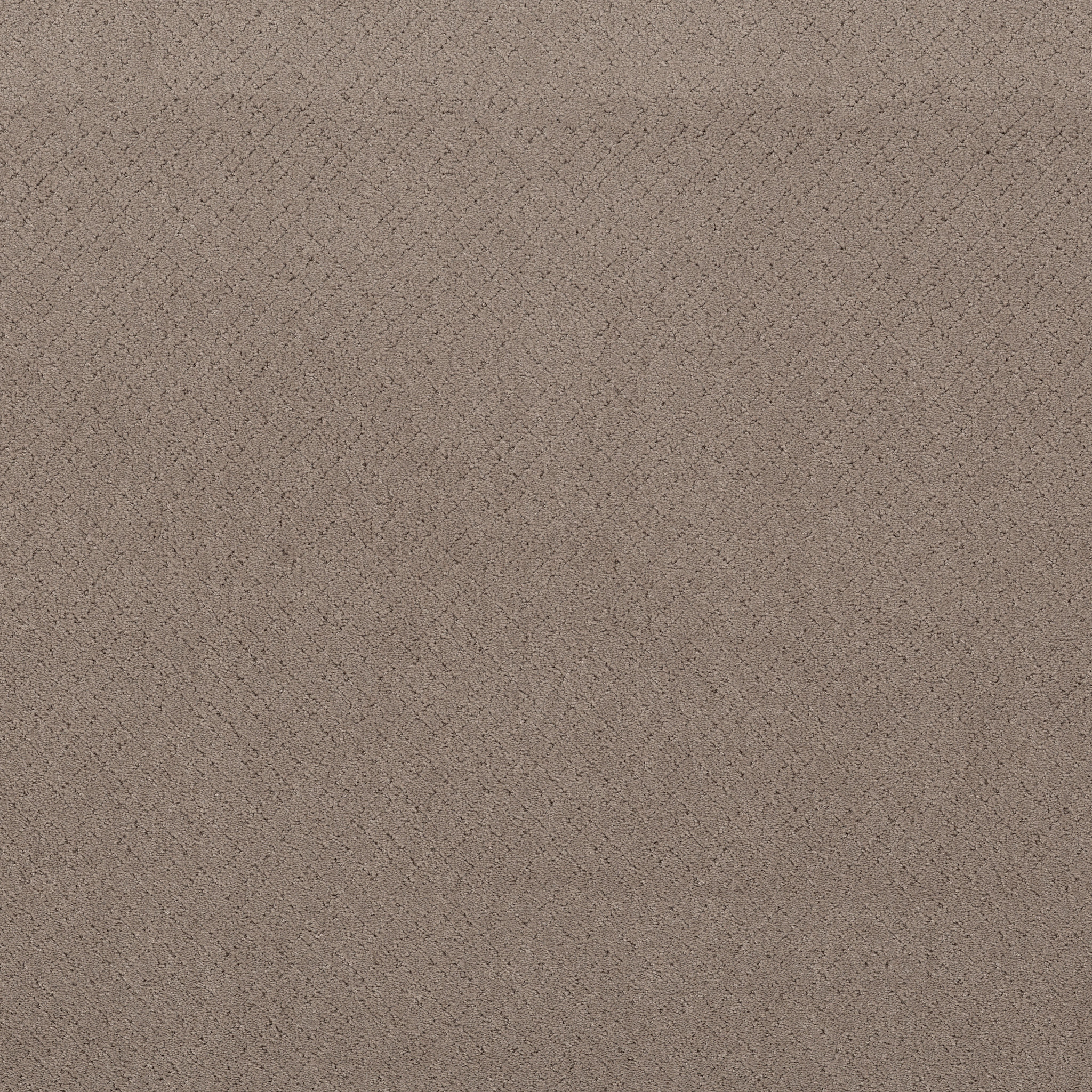 Reflective-Socialite-ZZB76_00851