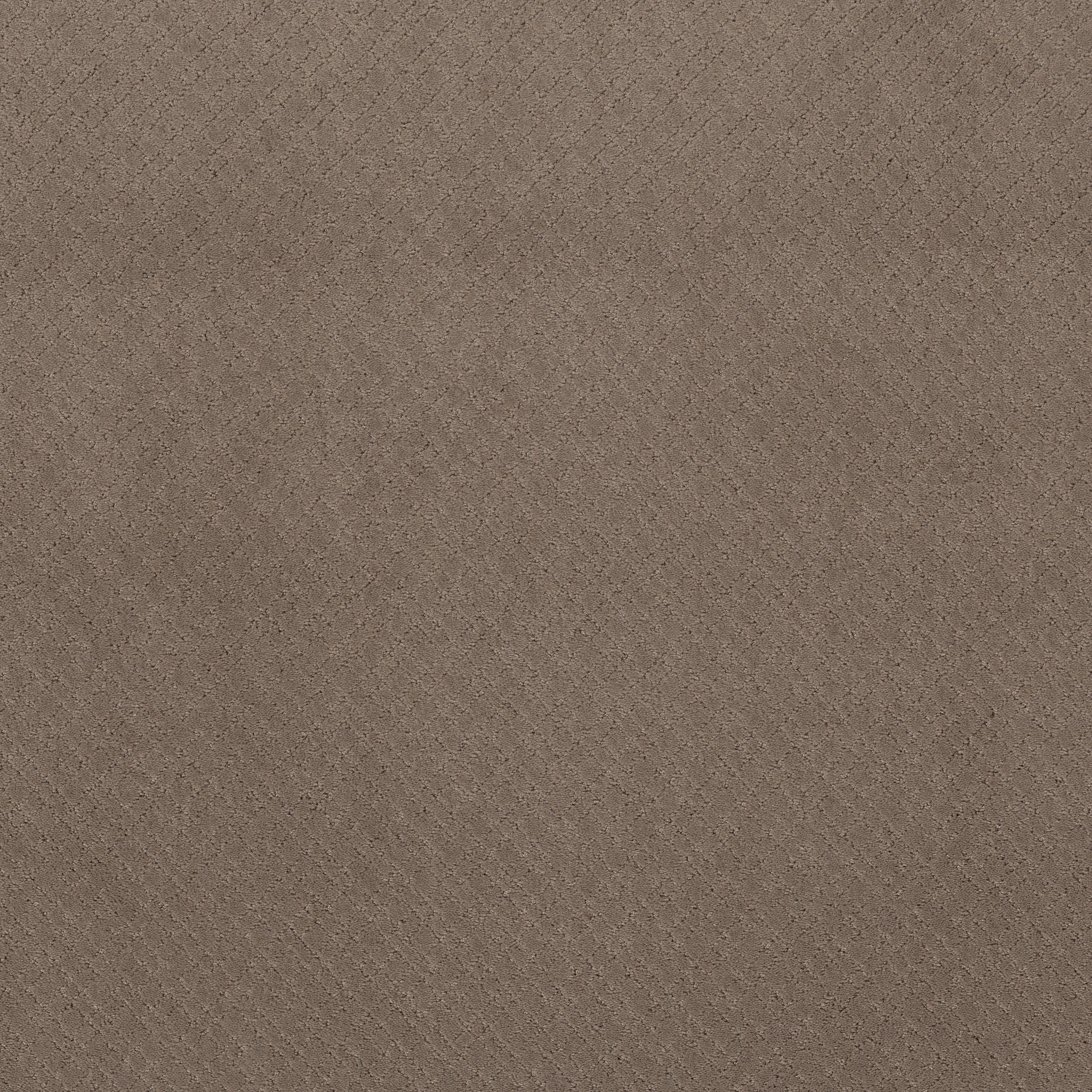 Reflective-Enigma-ZZB76_00854