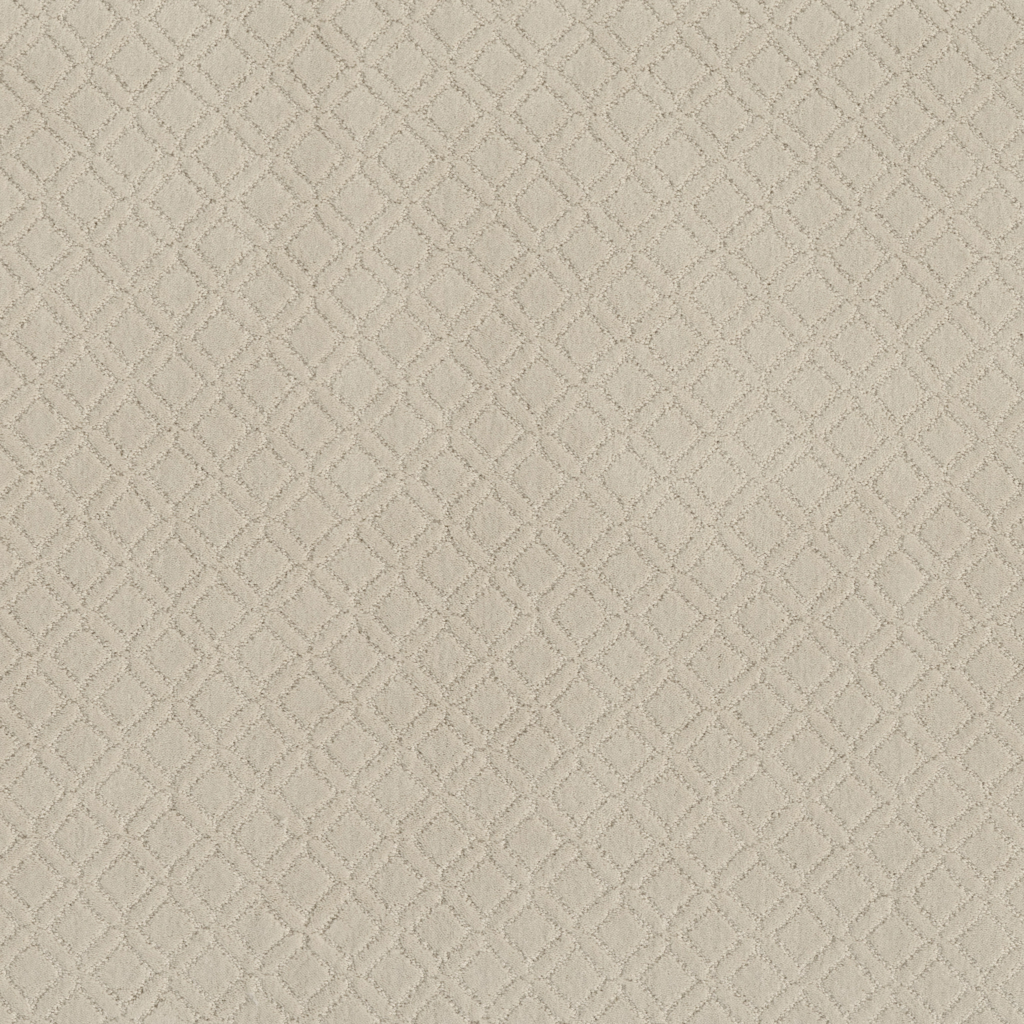 Dream Line-Salt Box-ZZB78_00102