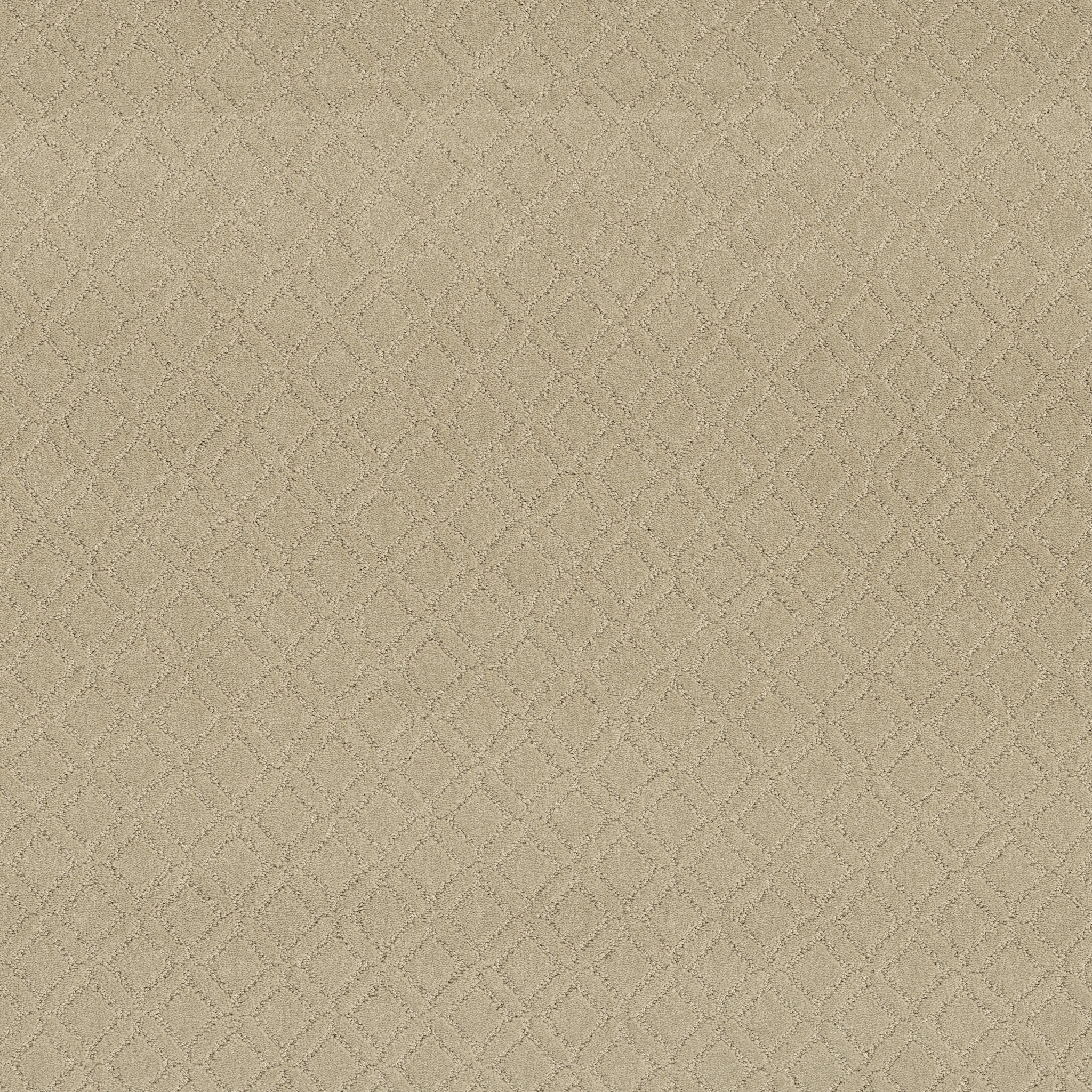 Dream Line-Bungalow-ZZB78_00103