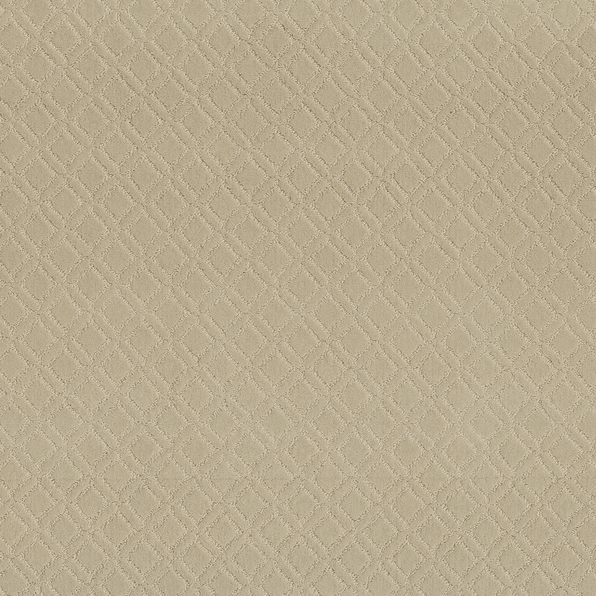 Dream Line-Morning Light-ZZB78_00113