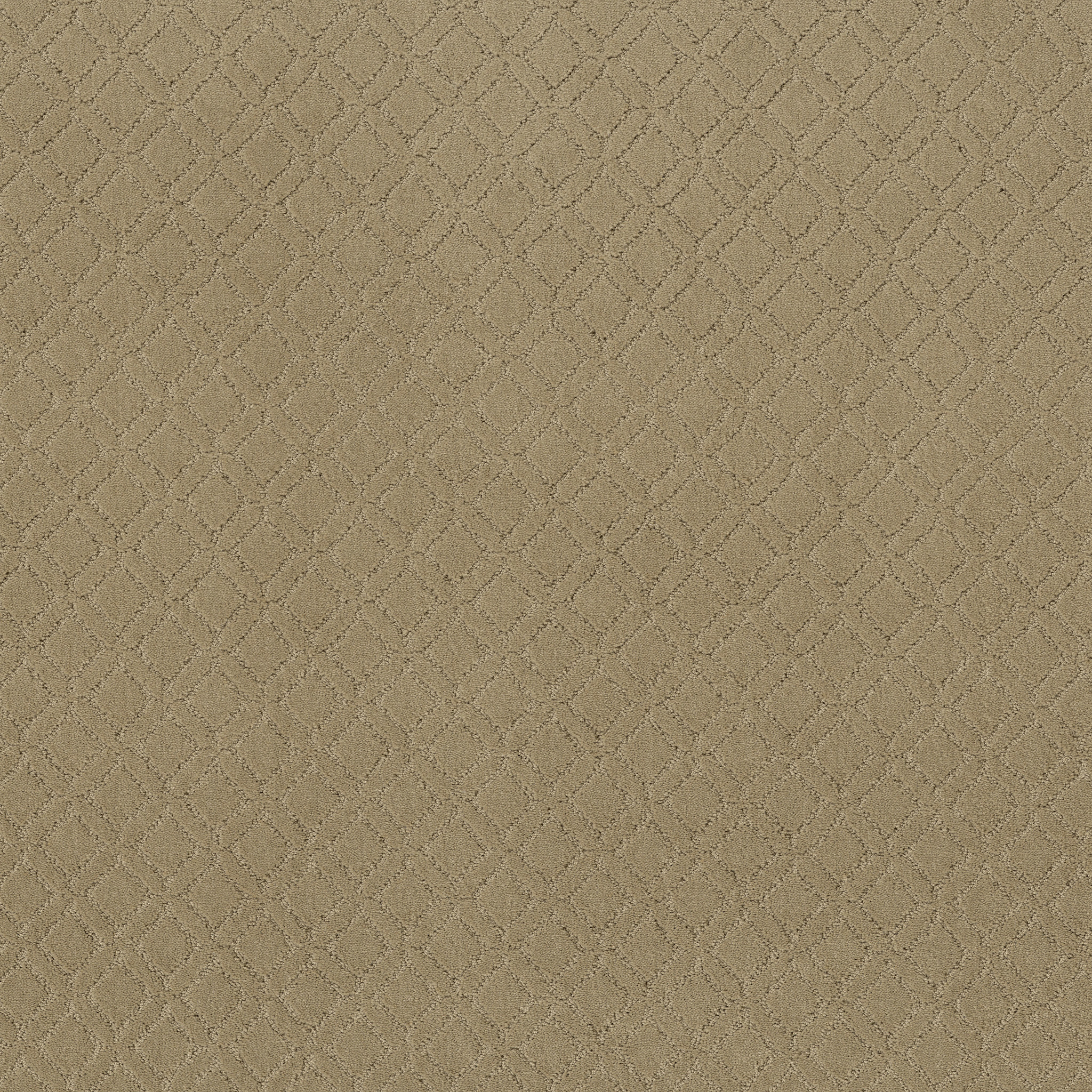 Dream Line-Folklore-ZZB78_00123