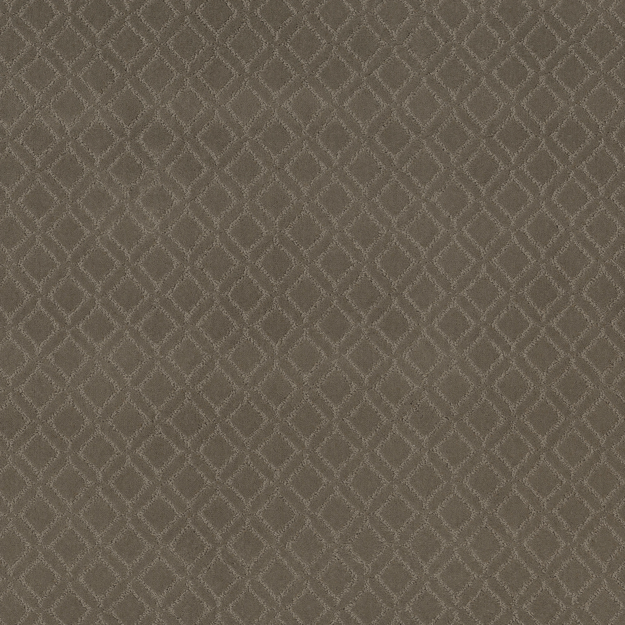 Dream Line-Dash-ZZB78_00556